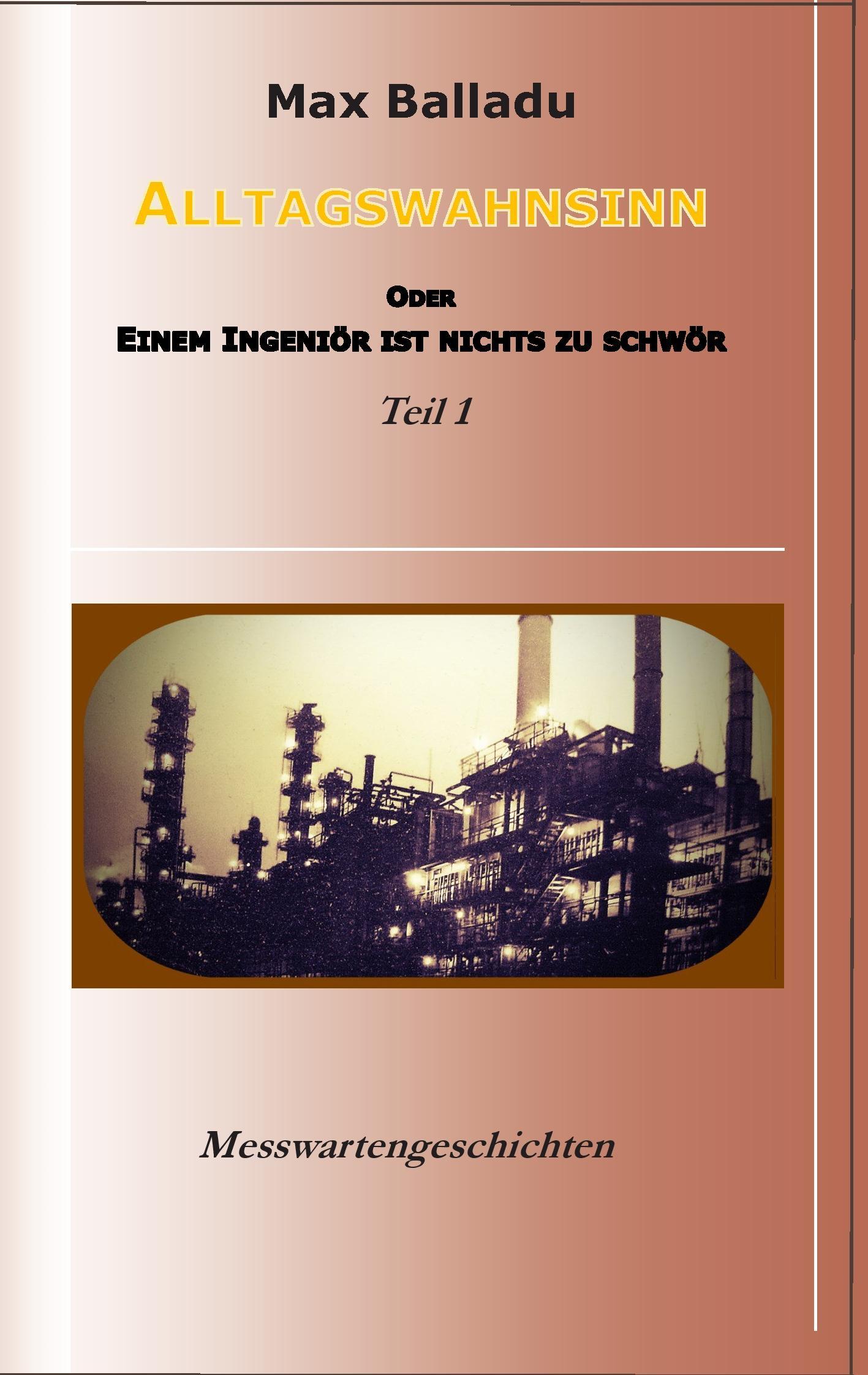 Vorderes Coverbild Alltagswahnsinn oder einem Ingeniör ist nichts zu schwör