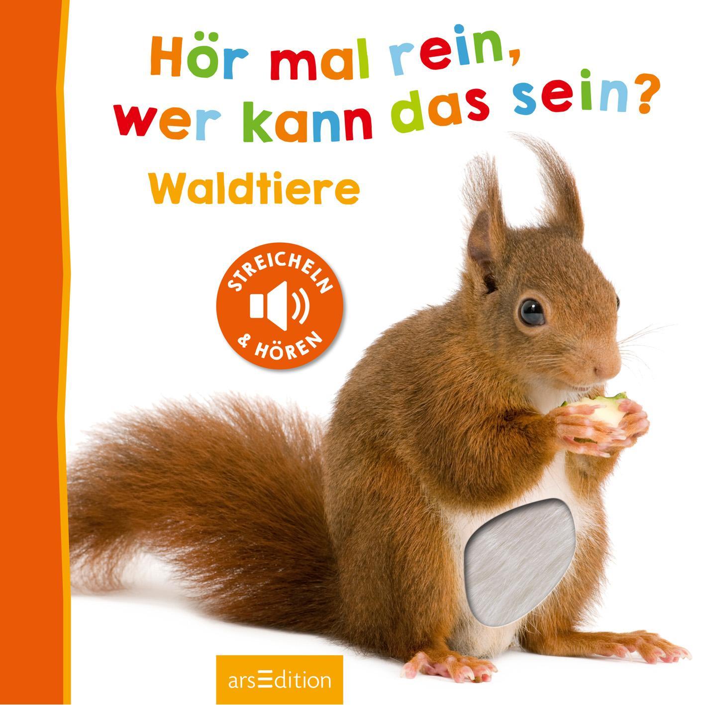 Beispielinhalt (Bild) Hör mal rein, wer kann das sein? - Waldtiere