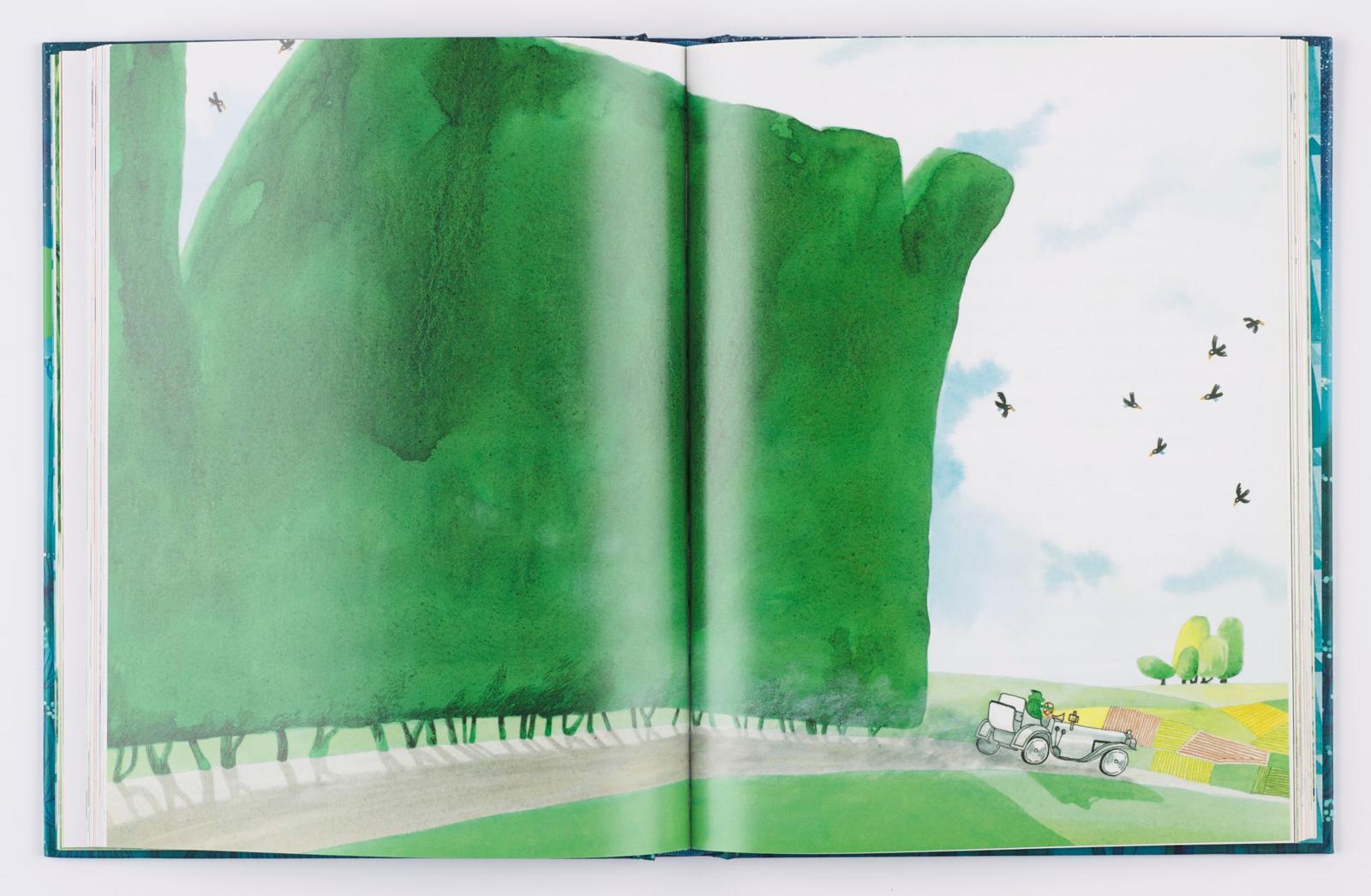 Beispielinhalt (Bild) Der Wind in den Weiden