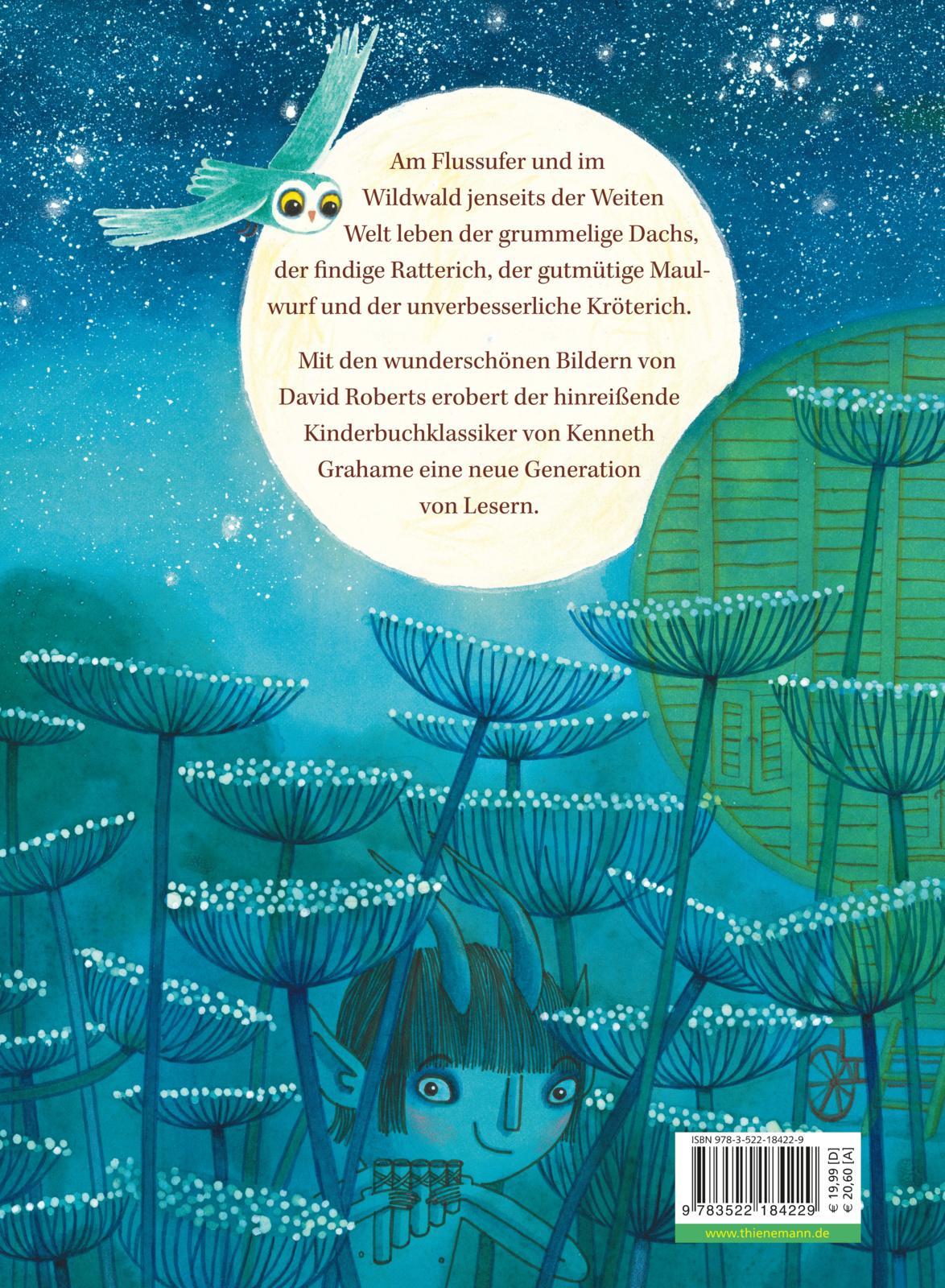 Rückseitencover Der Wind in den Weiden