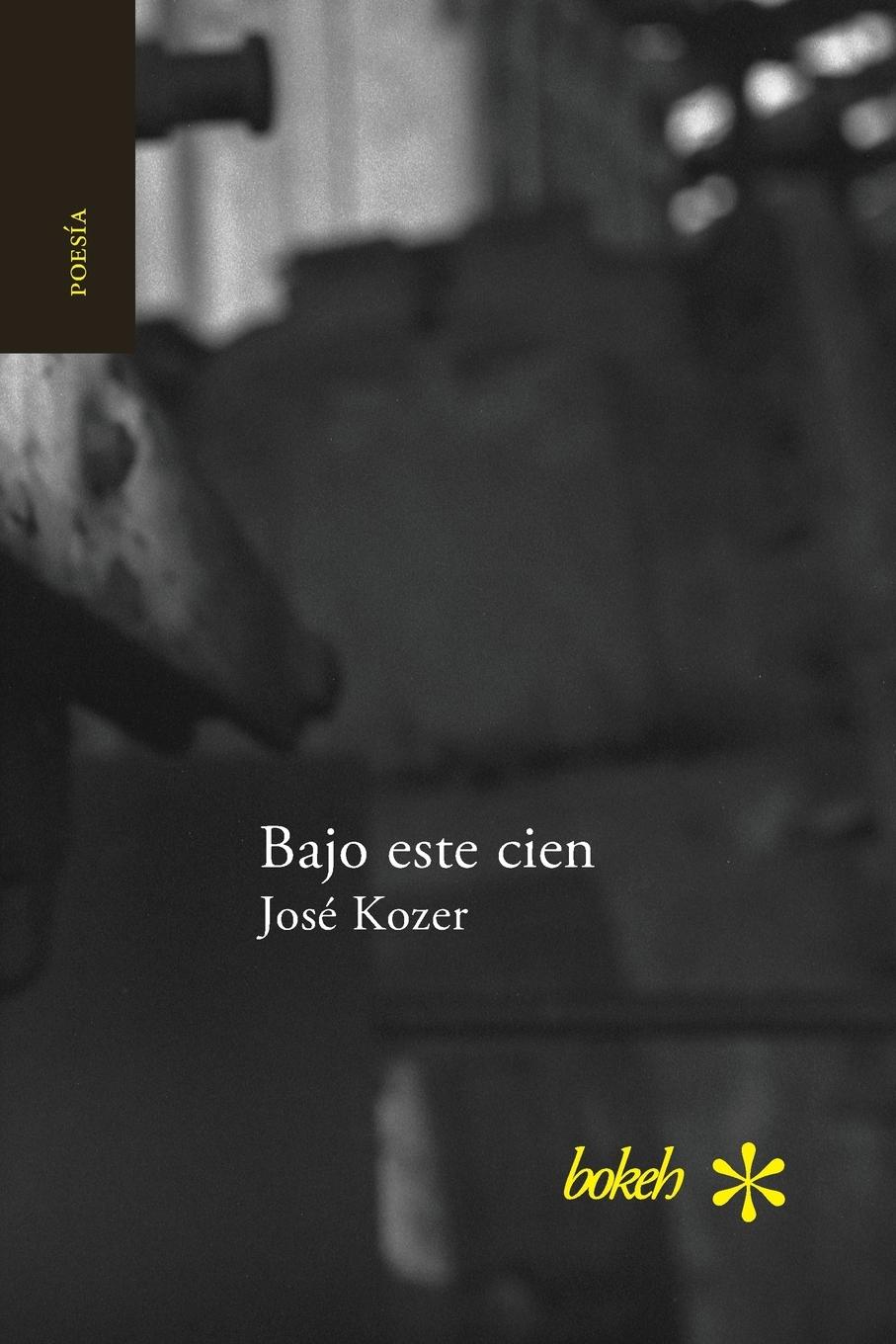Vorderes Coverbild Bajo este cien