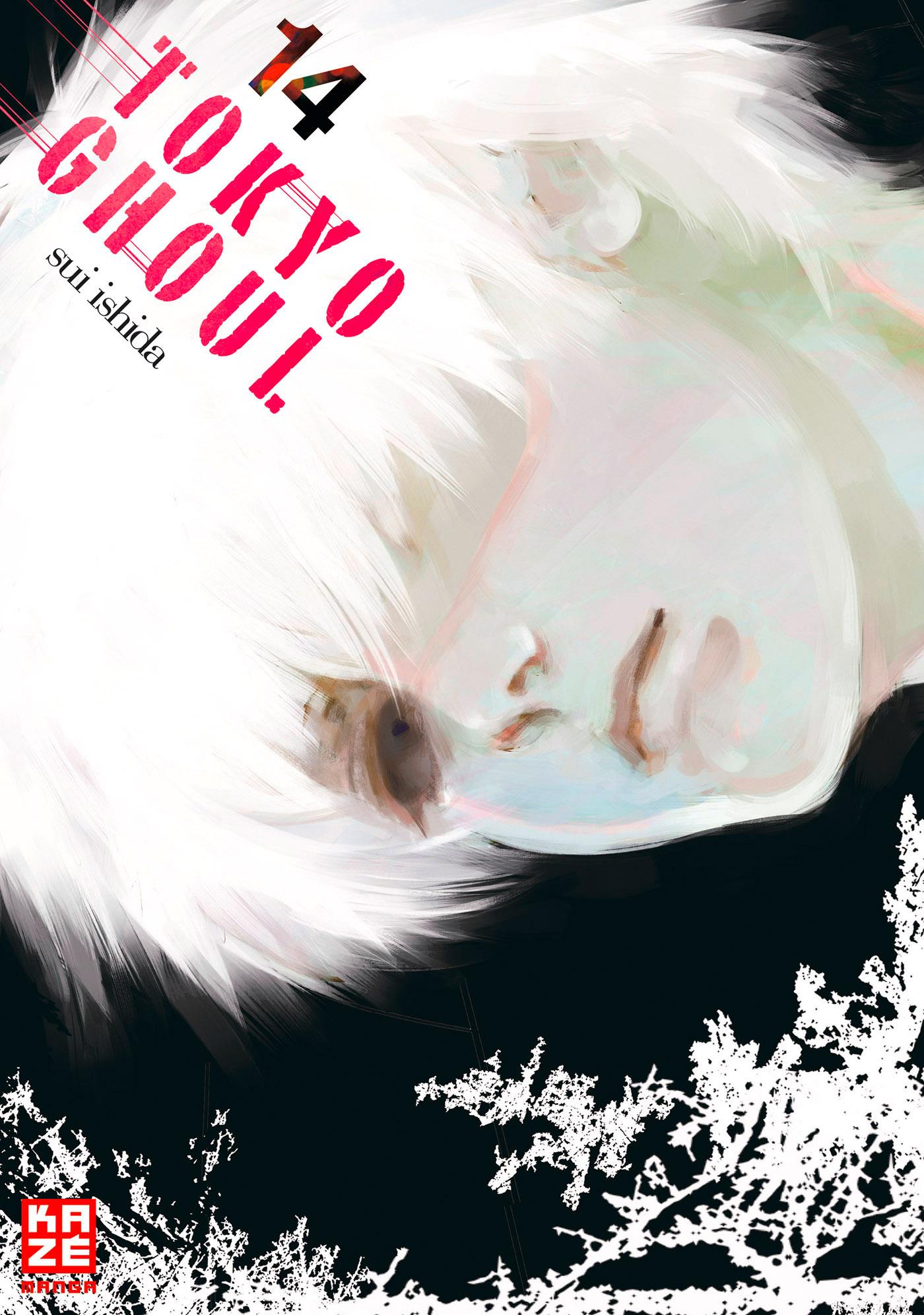 Vorderes Coverbild Tokyo Ghoul 14