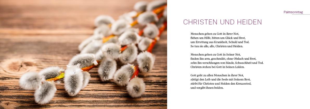 Beispielinhalt (Bild) Sieben Wochen mit Dietrich Bonhoeffer