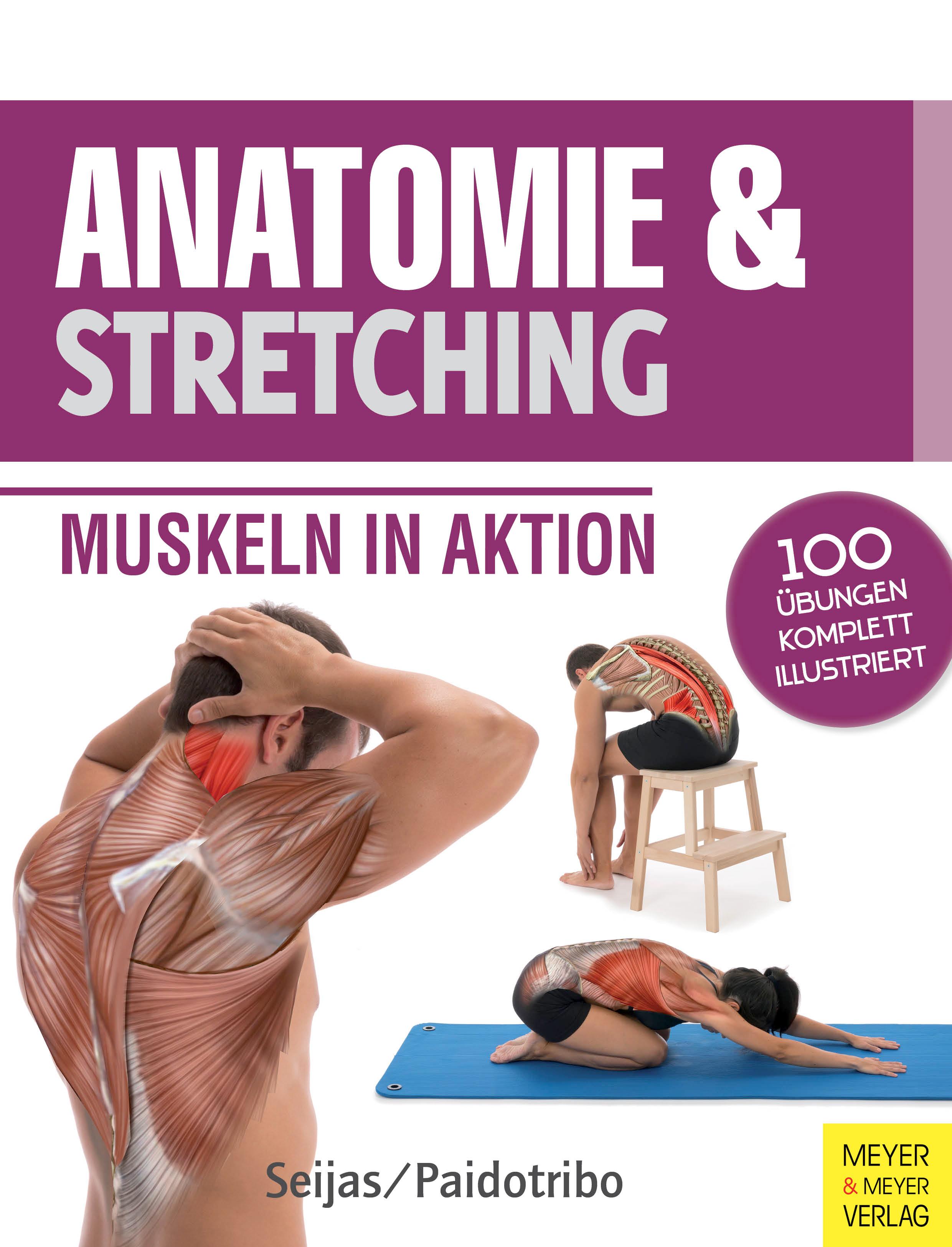 Vorderes Coverbild Anatomie & Stretching (Anatomie & Sport, Band 2)