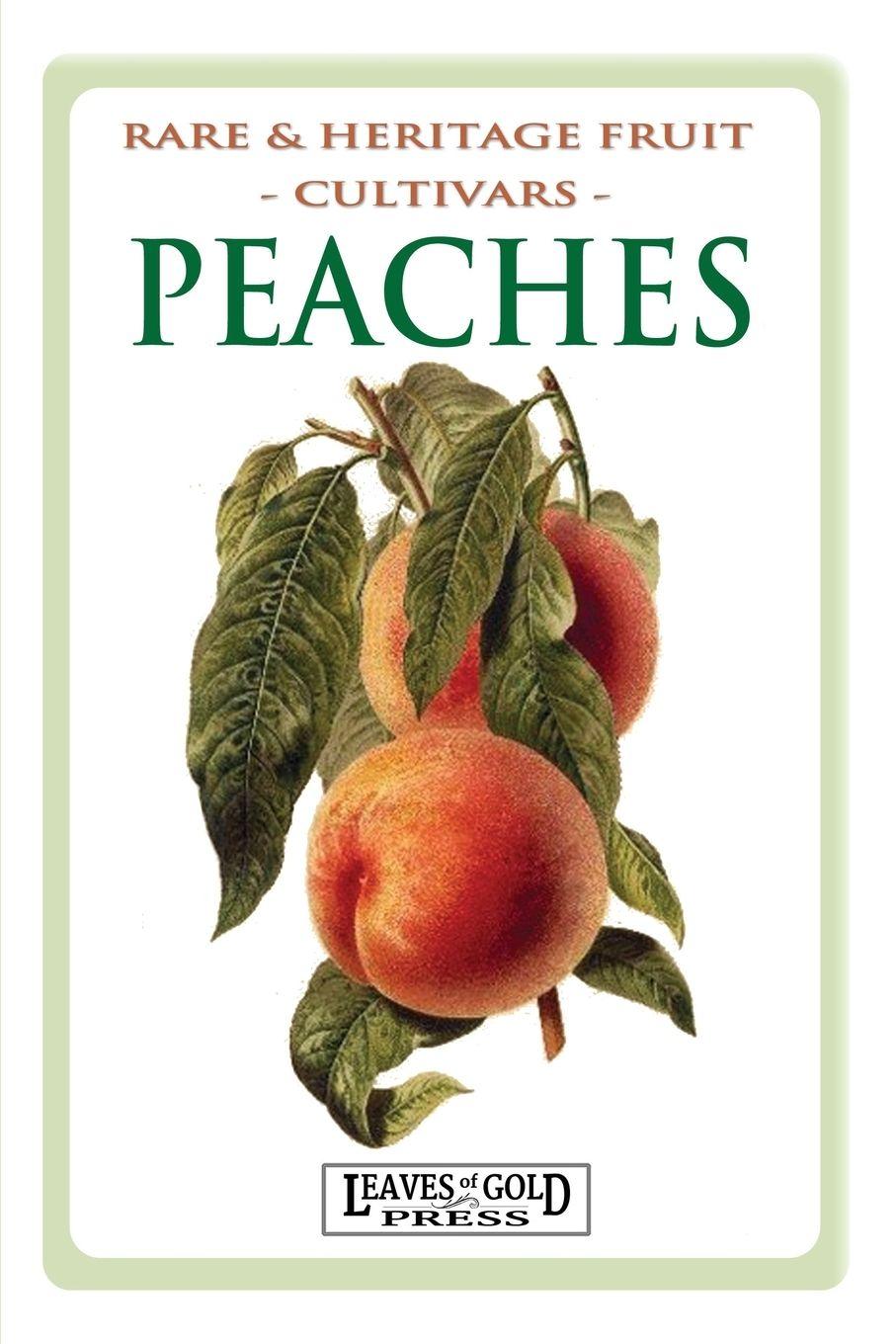 Vorderes Coverbild Peaches