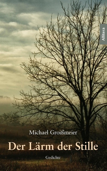Vorderes Coverbild Der Lärm der Stille