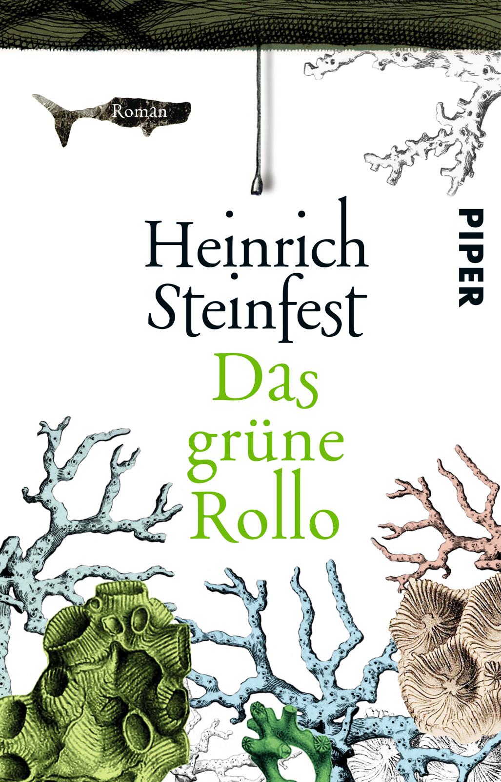 Vorderes Coverbild Das grüne Rollo