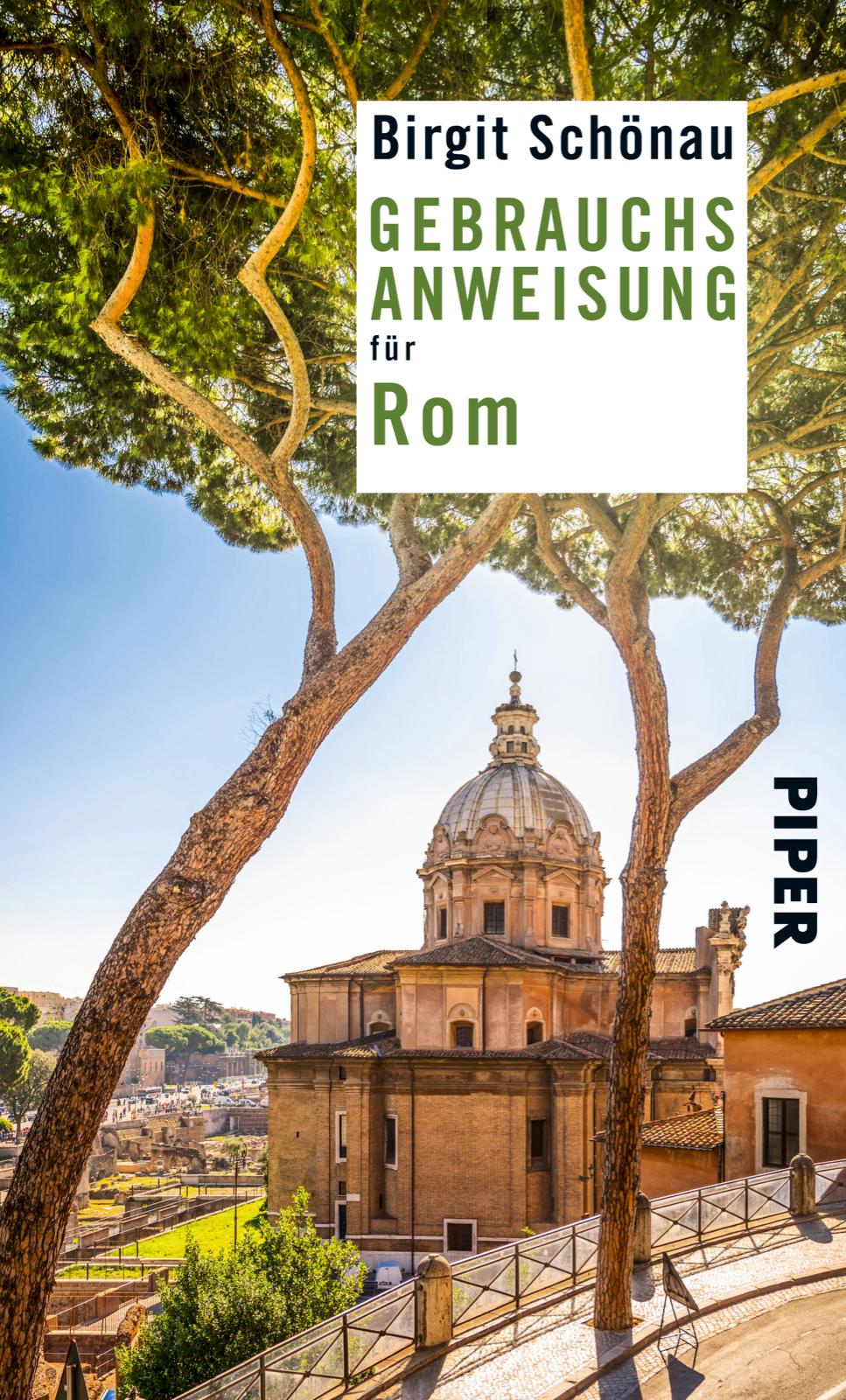 Vorderes Coverbild Gebrauchsanweisung für Rom