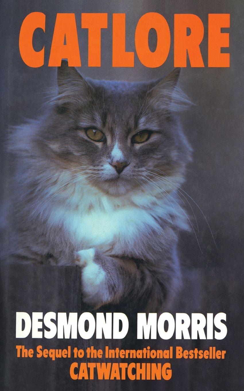 Vorderes Coverbild Catlore