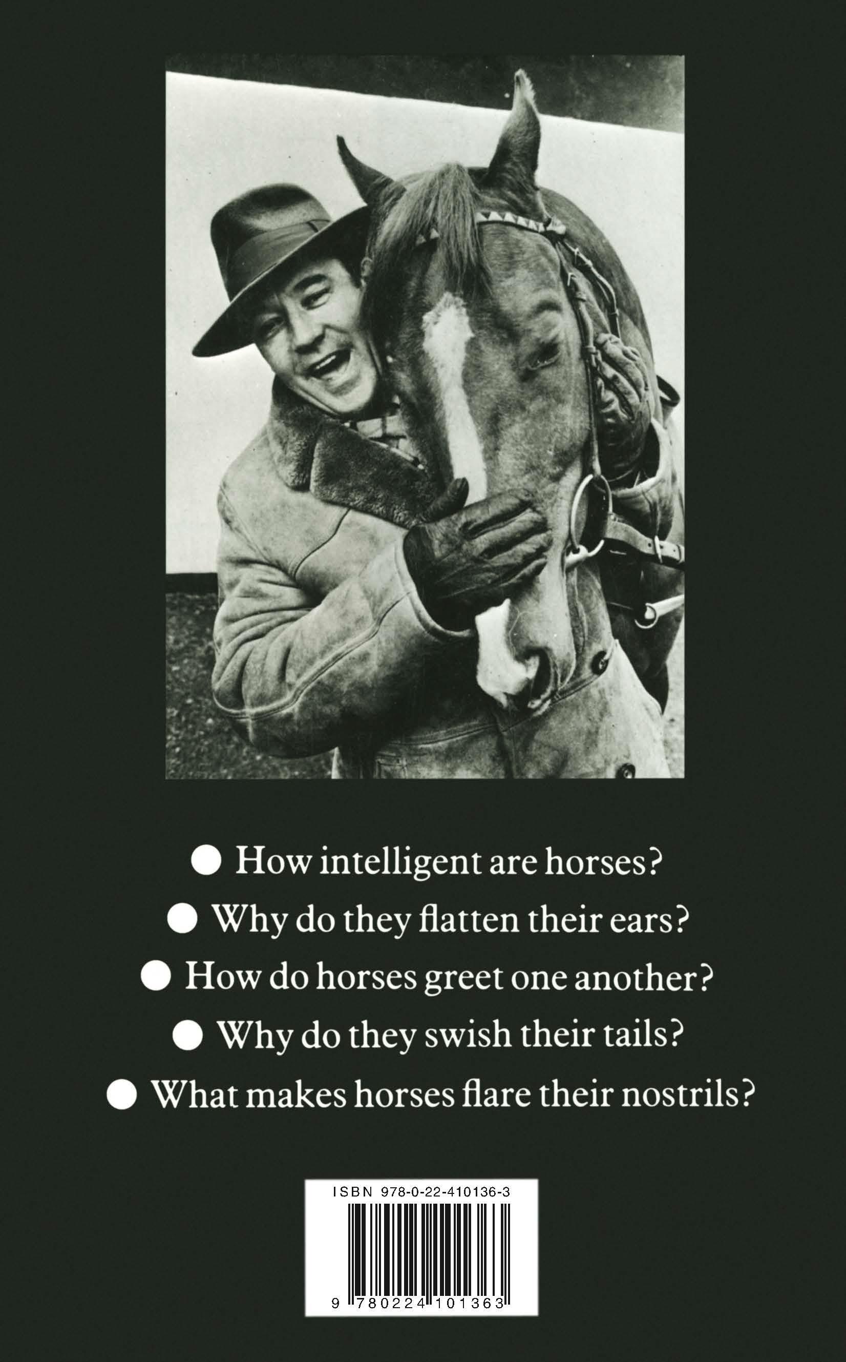 Rückseitencover Horsewatching