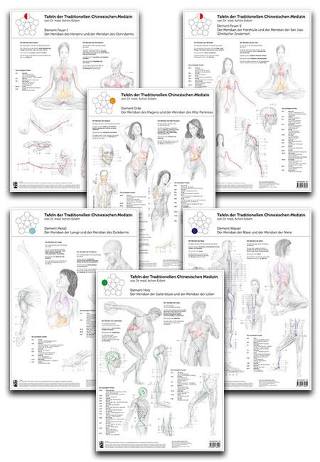 Vorderes Coverbild Set von 6 Tafeln der Traditionellen Chinesischen Medizin