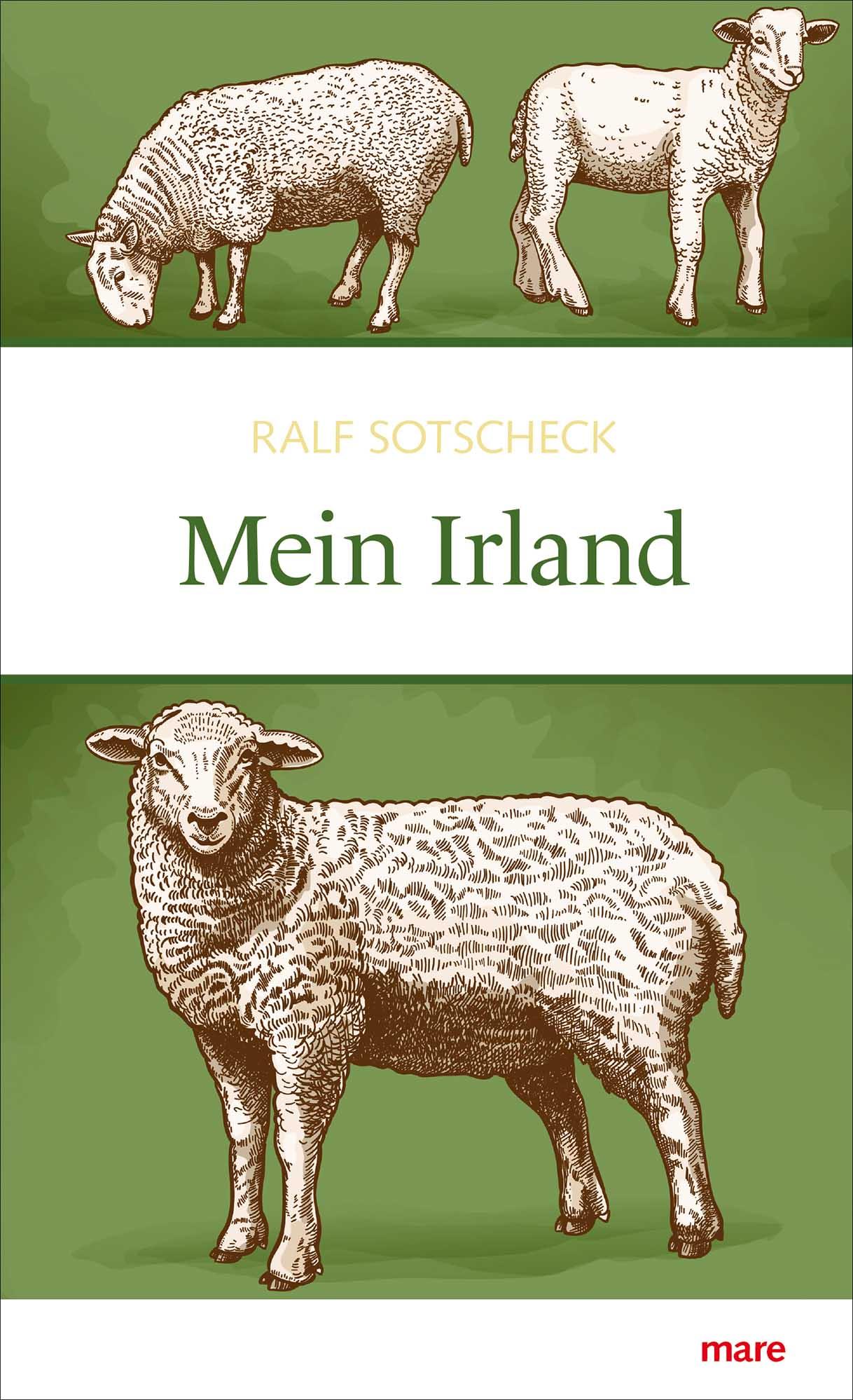 Vorderes Coverbild Mein Irland