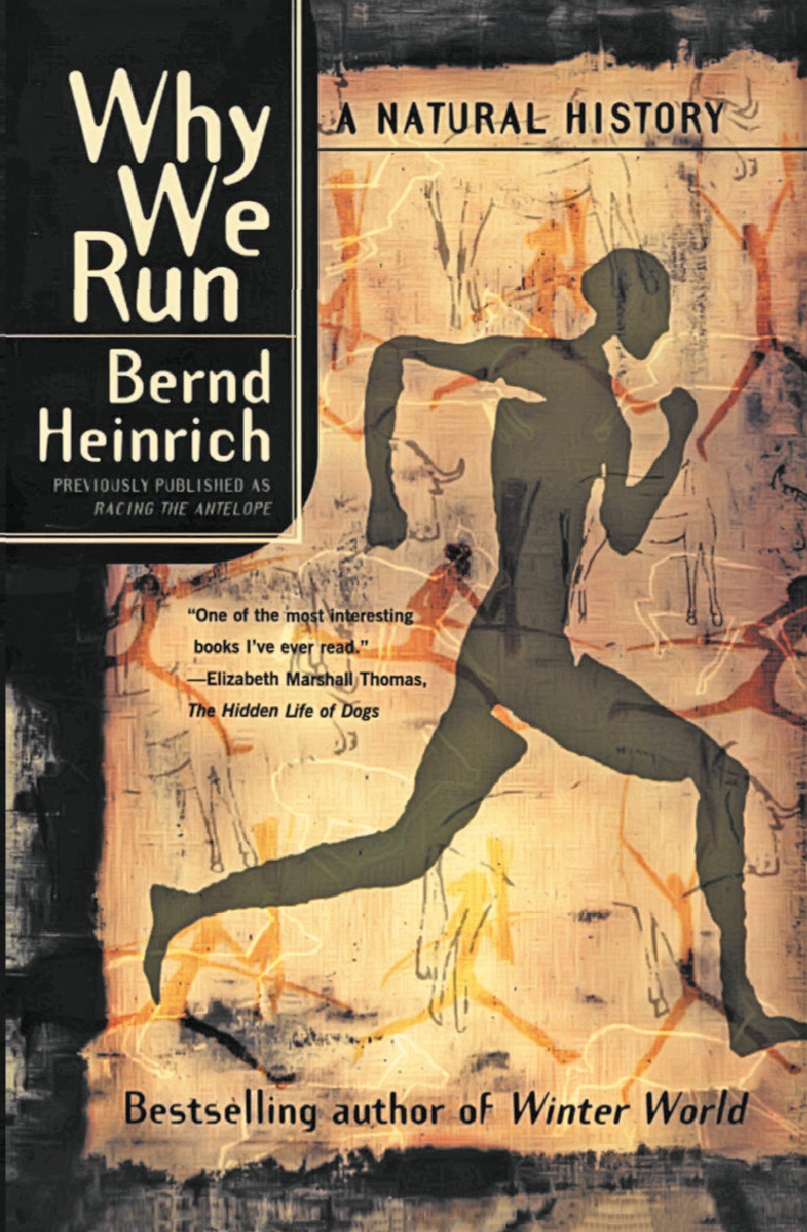 Vorderes Coverbild Why We Run