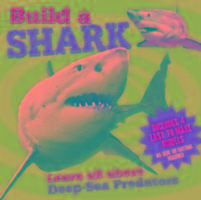 Vorderes Coverbild Build a Shark