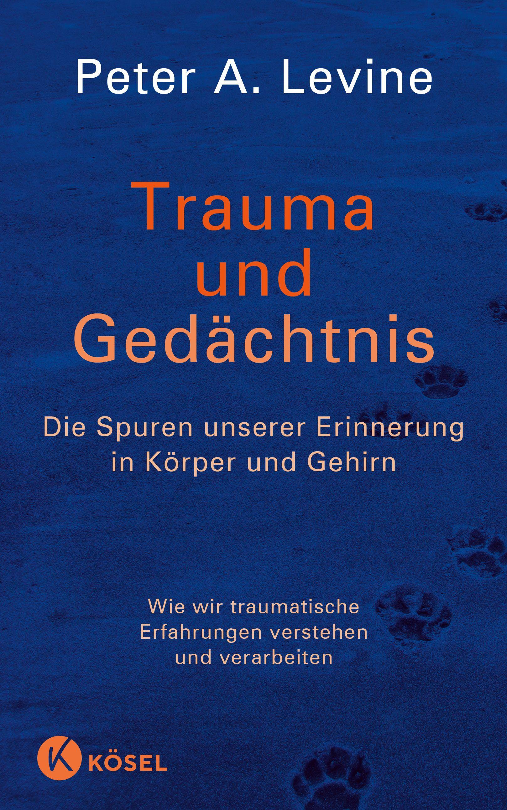 Vorderes Coverbild Trauma und Gedächtnis