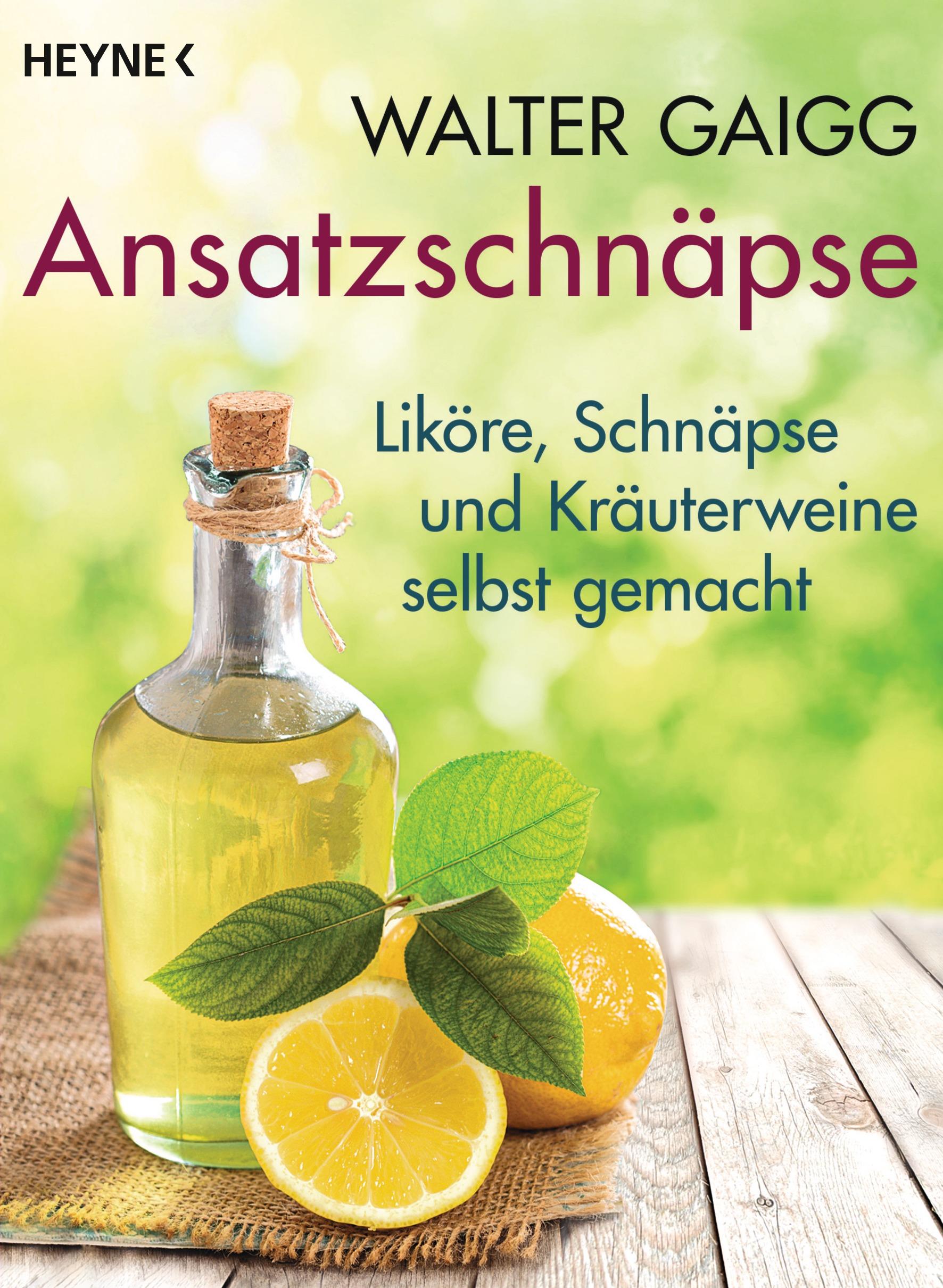 Vorderes Coverbild Ansatzschnäpse
