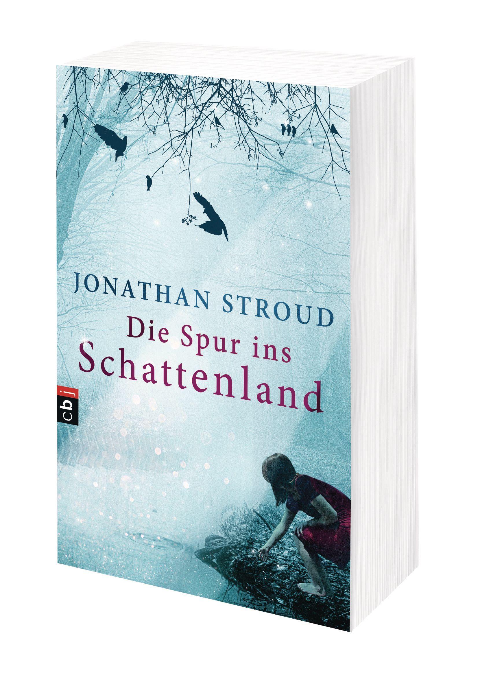 Beispielinhalt (Bild) Die Spur ins Schattenland