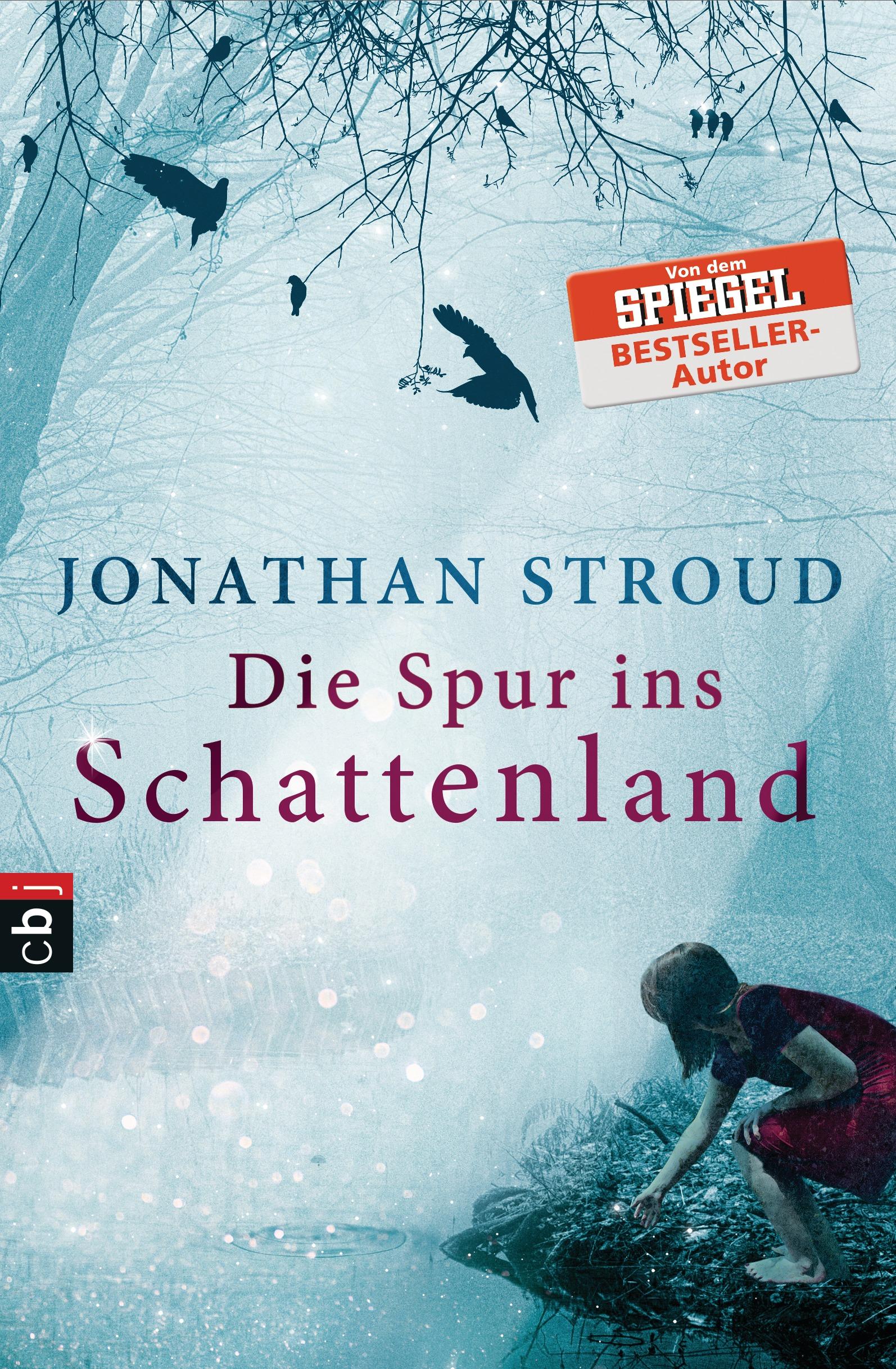 Vorderes Coverbild Die Spur ins Schattenland