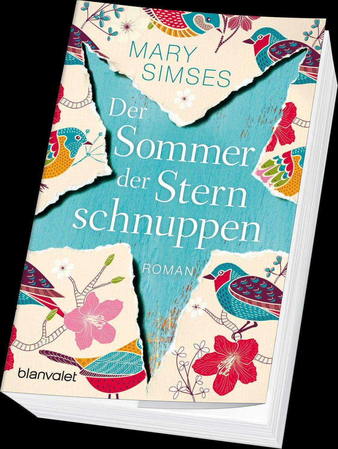 Beispielinhalt (Bild) Der Sommer der Sternschnuppen
