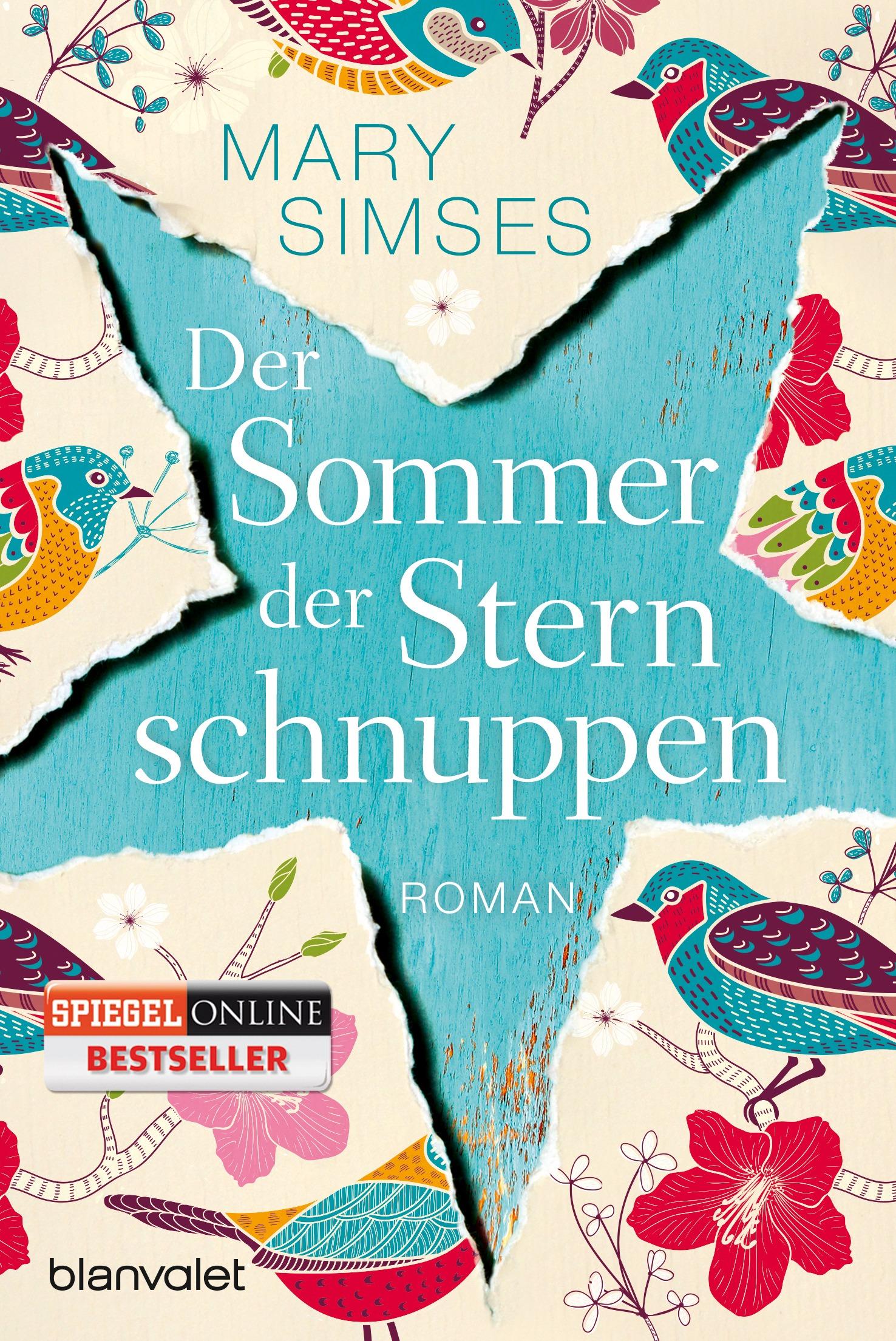 Vorderes Coverbild Der Sommer der Sternschnuppen