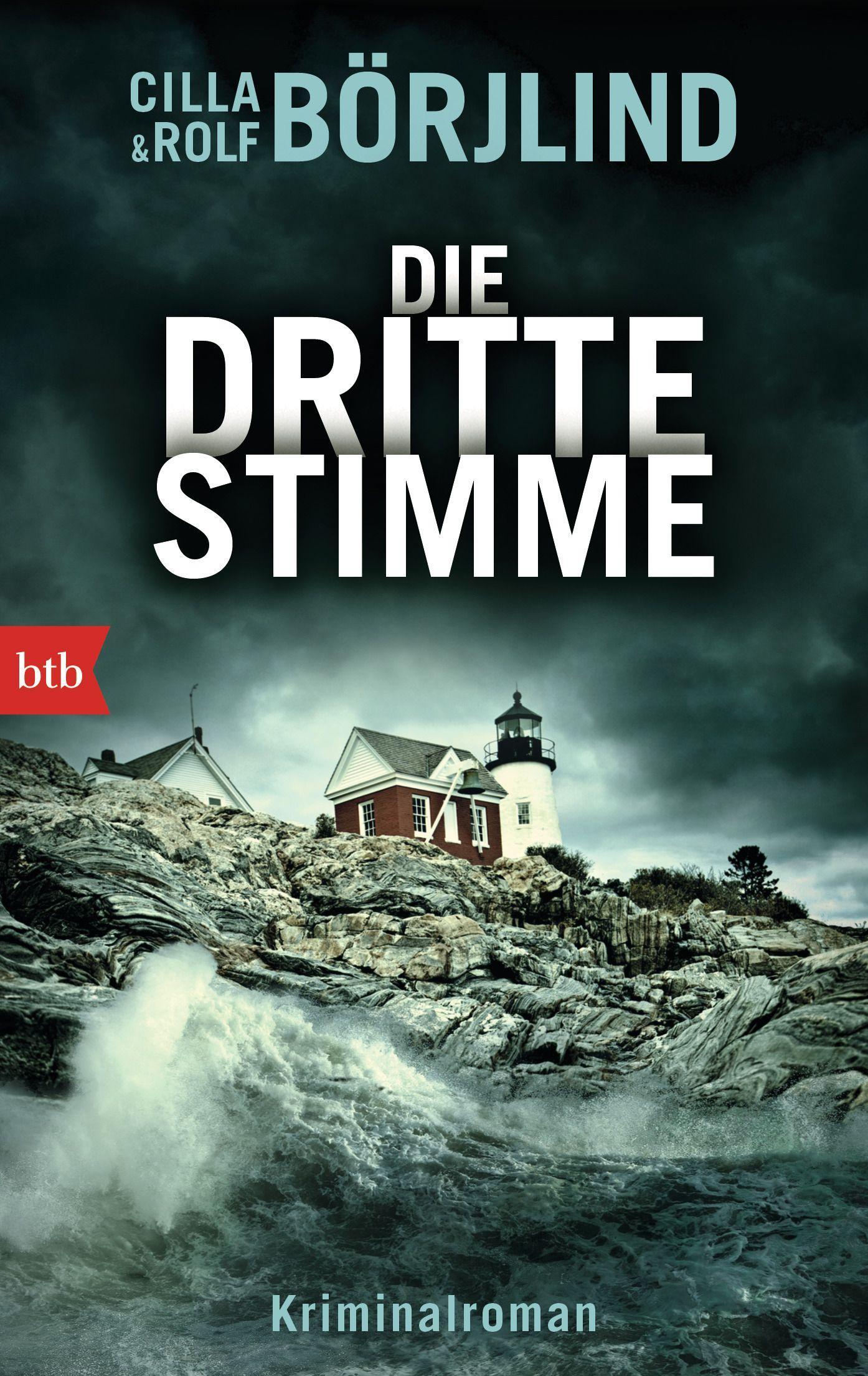 Vorderes Coverbild Die dritte Stimme