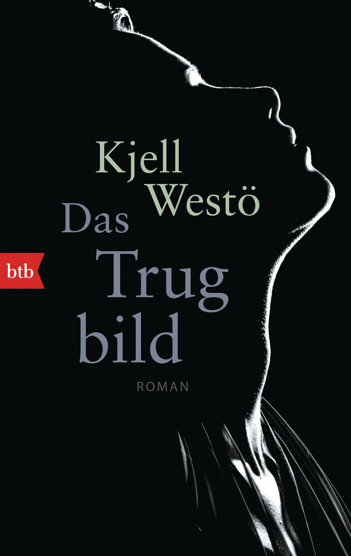 Vorderes Coverbild Das Trugbild