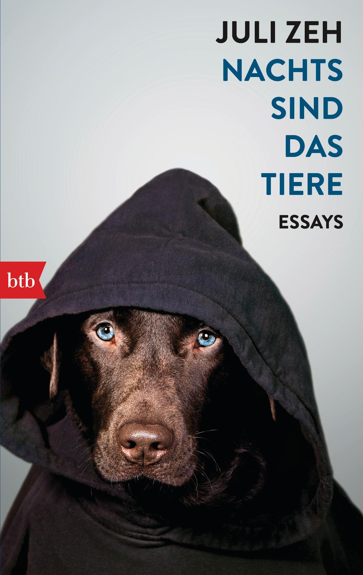 Vorderes Coverbild Nachts sind das Tiere