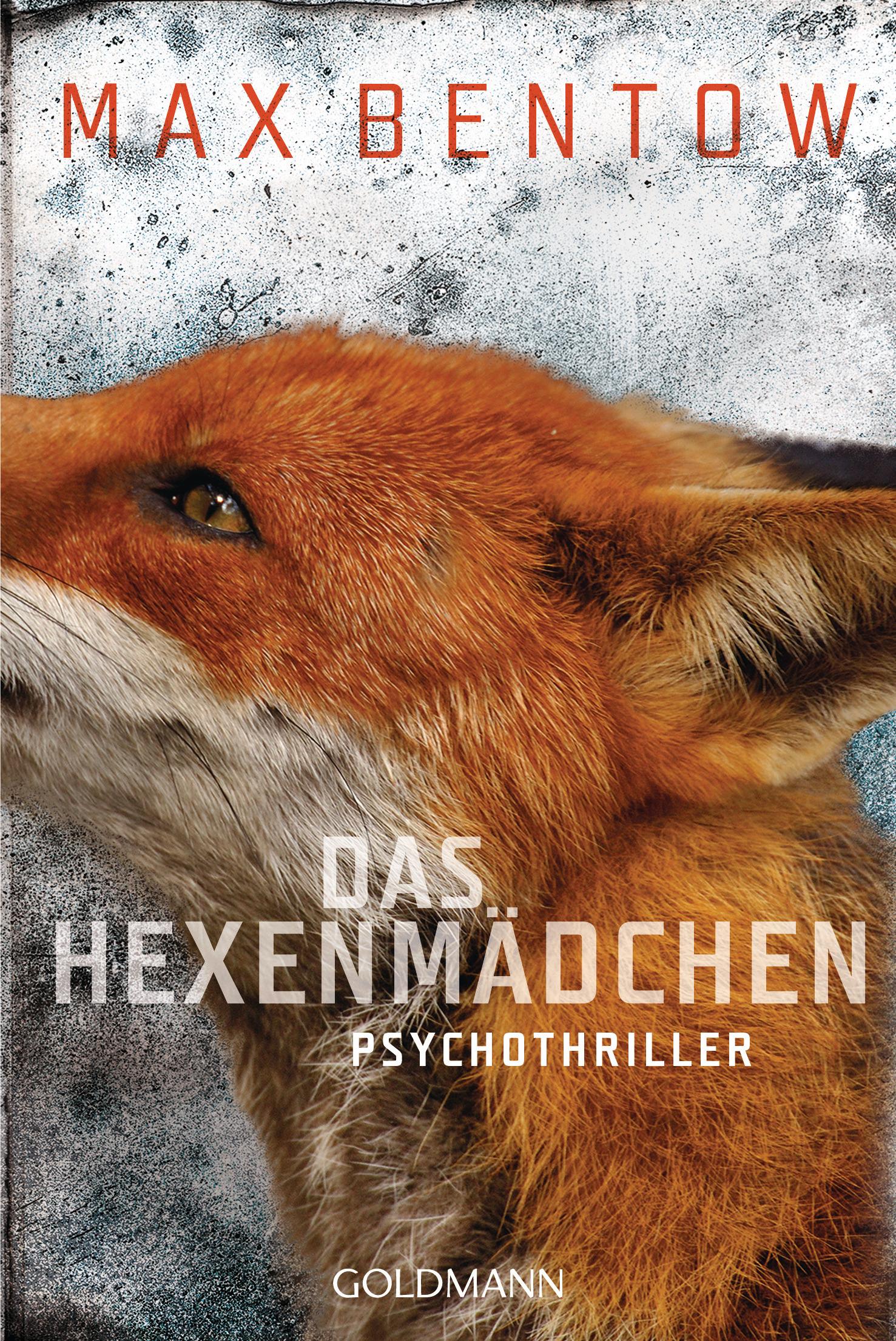 Vorderes Coverbild Das Hexenmädchen