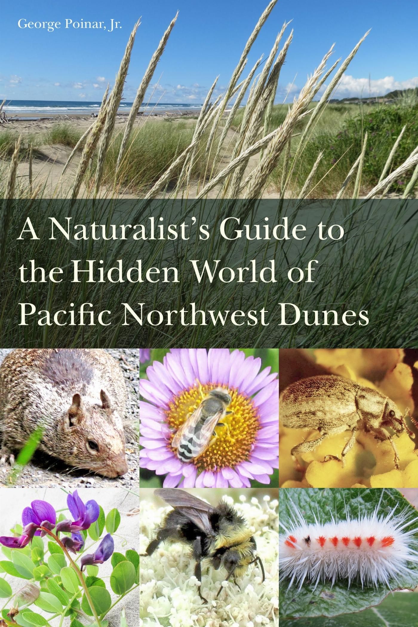 Vorderes Coverbild A Naturalist's Guide to the Hidden World of Pacific Northwest Dunes