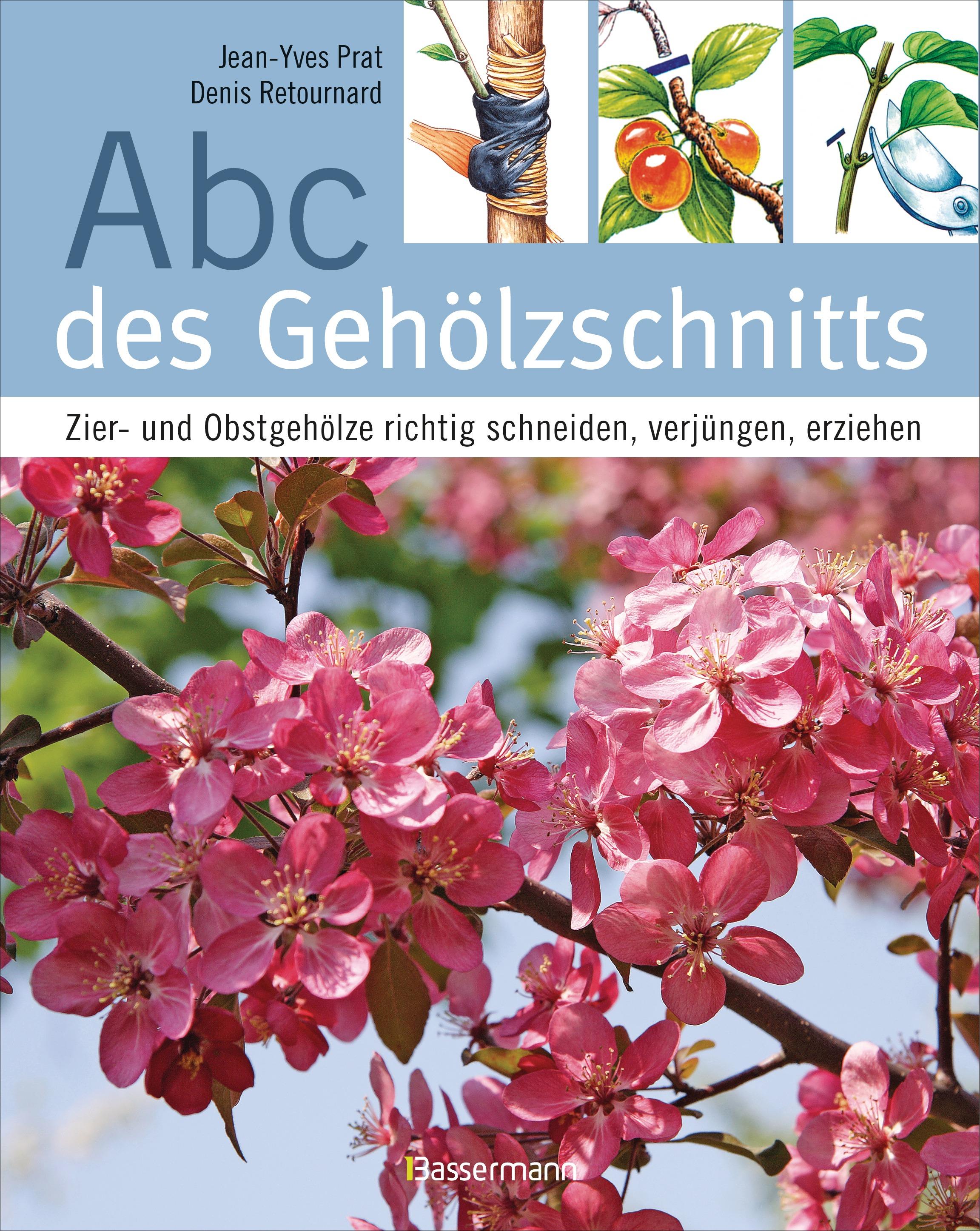 Vorderes Coverbild Abc des Gehölzschnitts