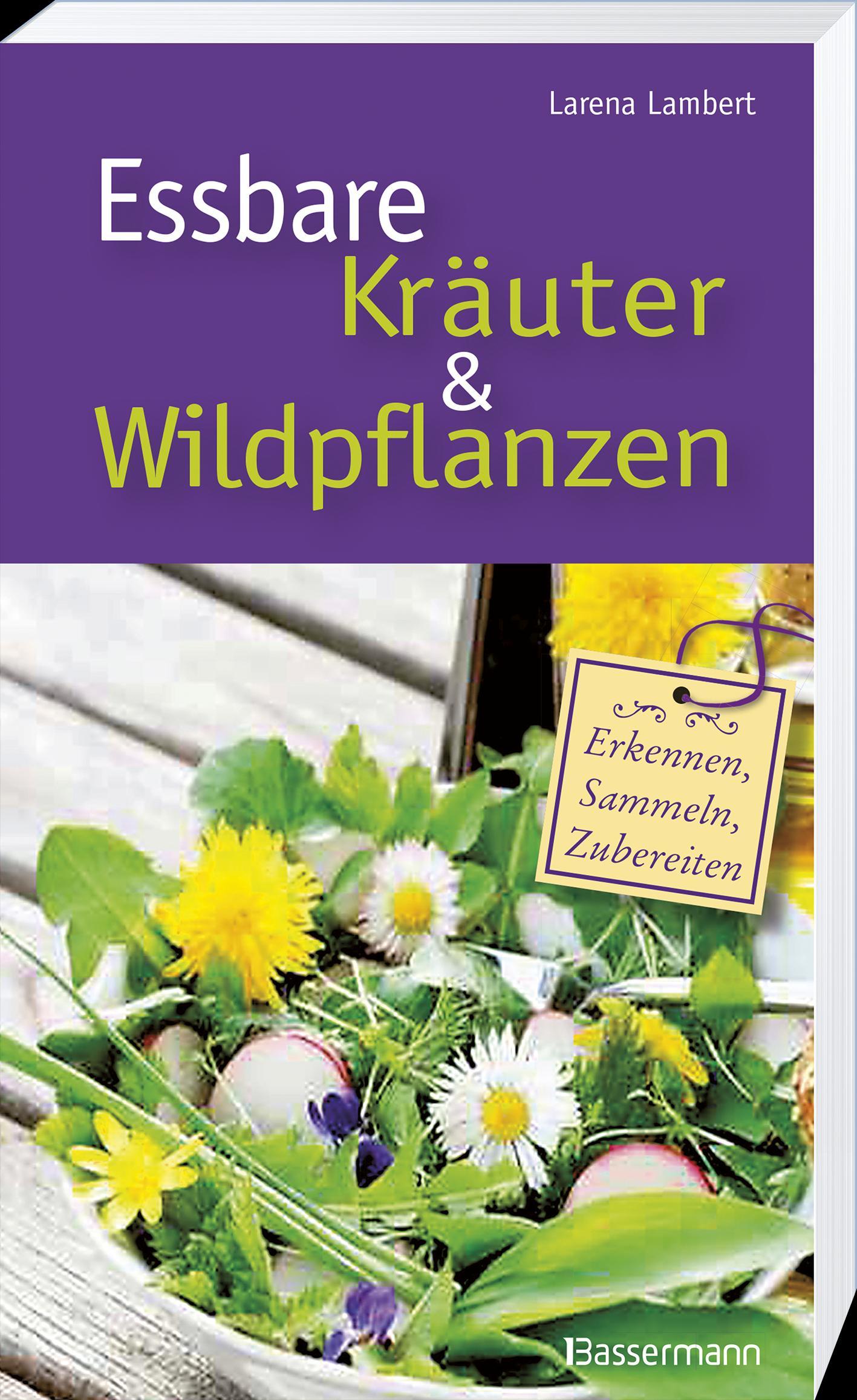 Beispielinhalt (Bild) Essbare Kräuter und Wildpflanzen