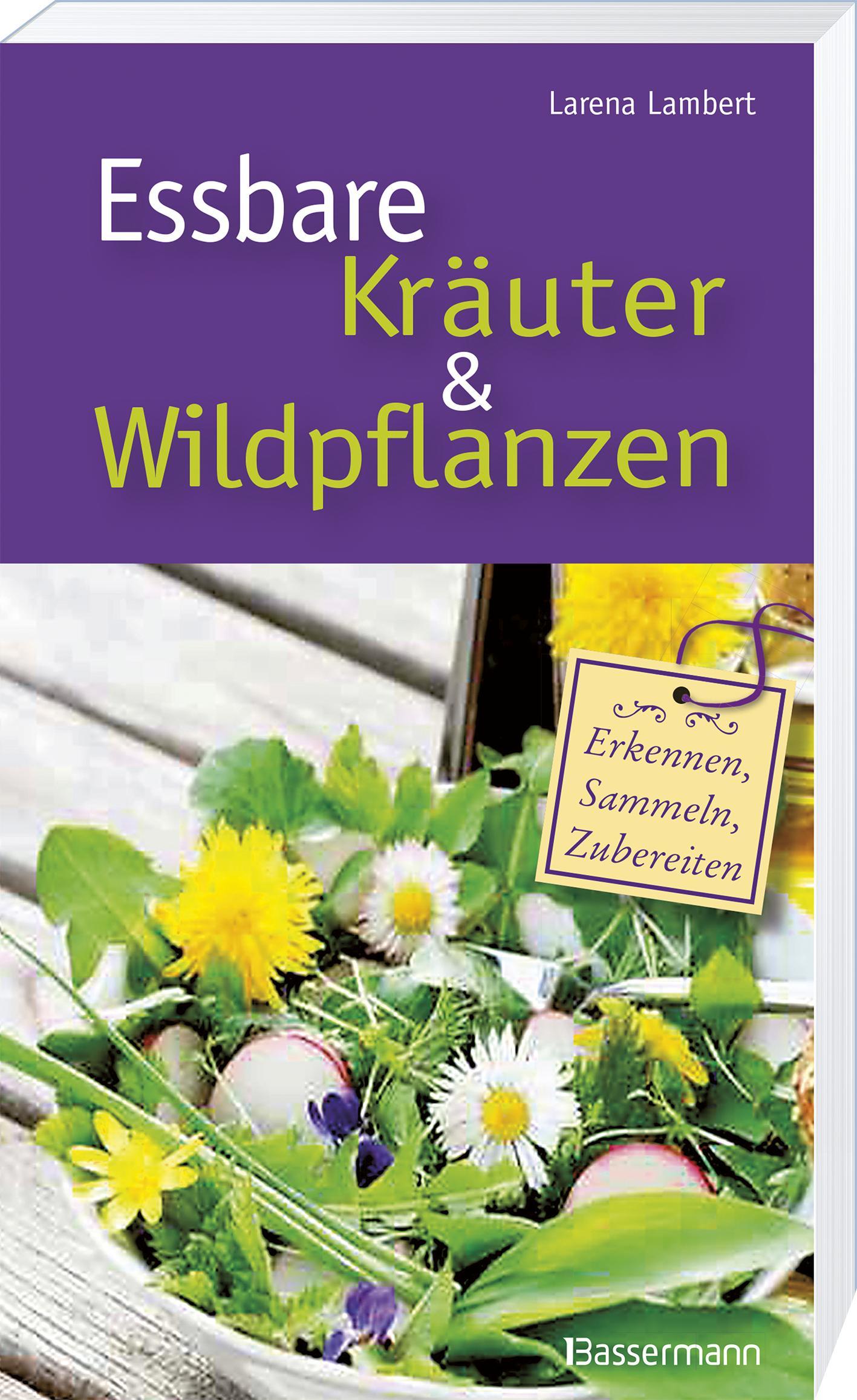 Beispielinhalt (Bild) Essbare Kräuter und Wildpflanzen