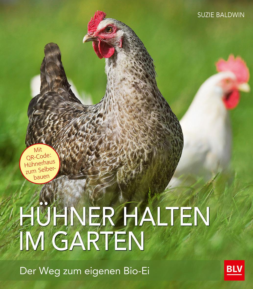 Vorderes Coverbild Hühner halten im Garten
