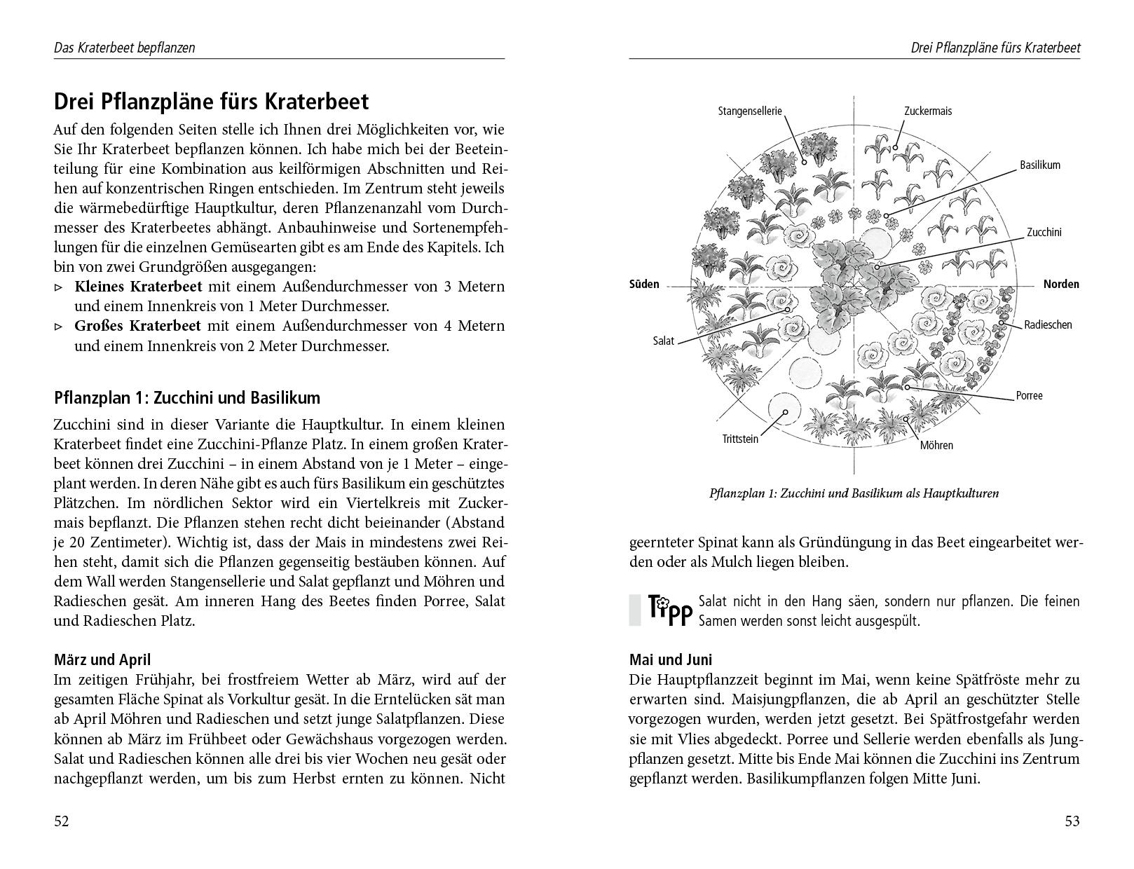 Beispielinhalt (Bild) Das Kraterbeet