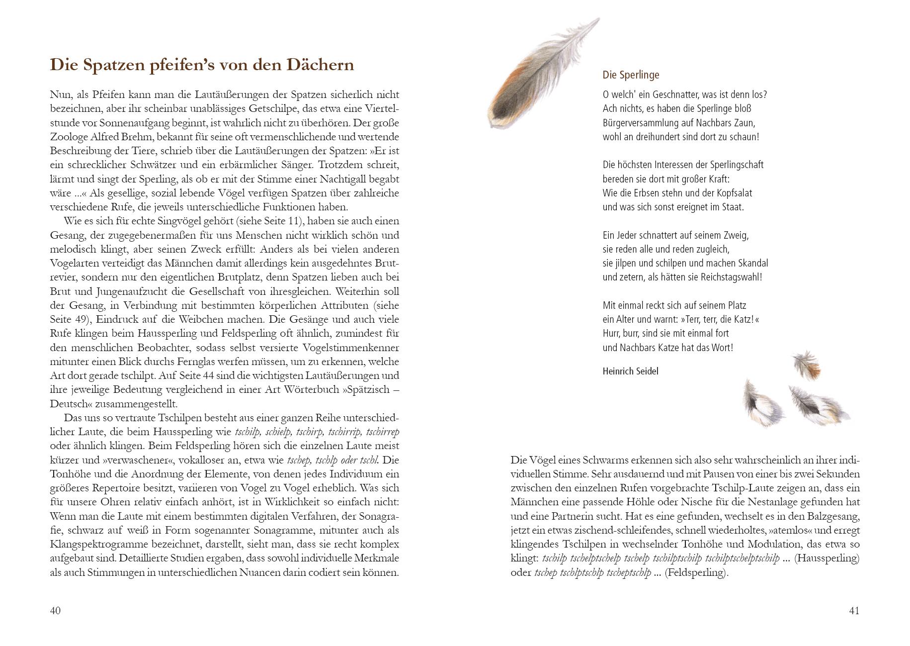 Beispielinhalt (Bild) Mehr Platz für den Spatz!
