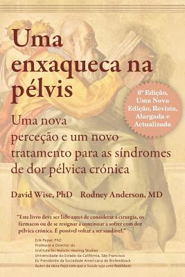 Vorderes Coverbild Uma Enxaqueca na pélvis