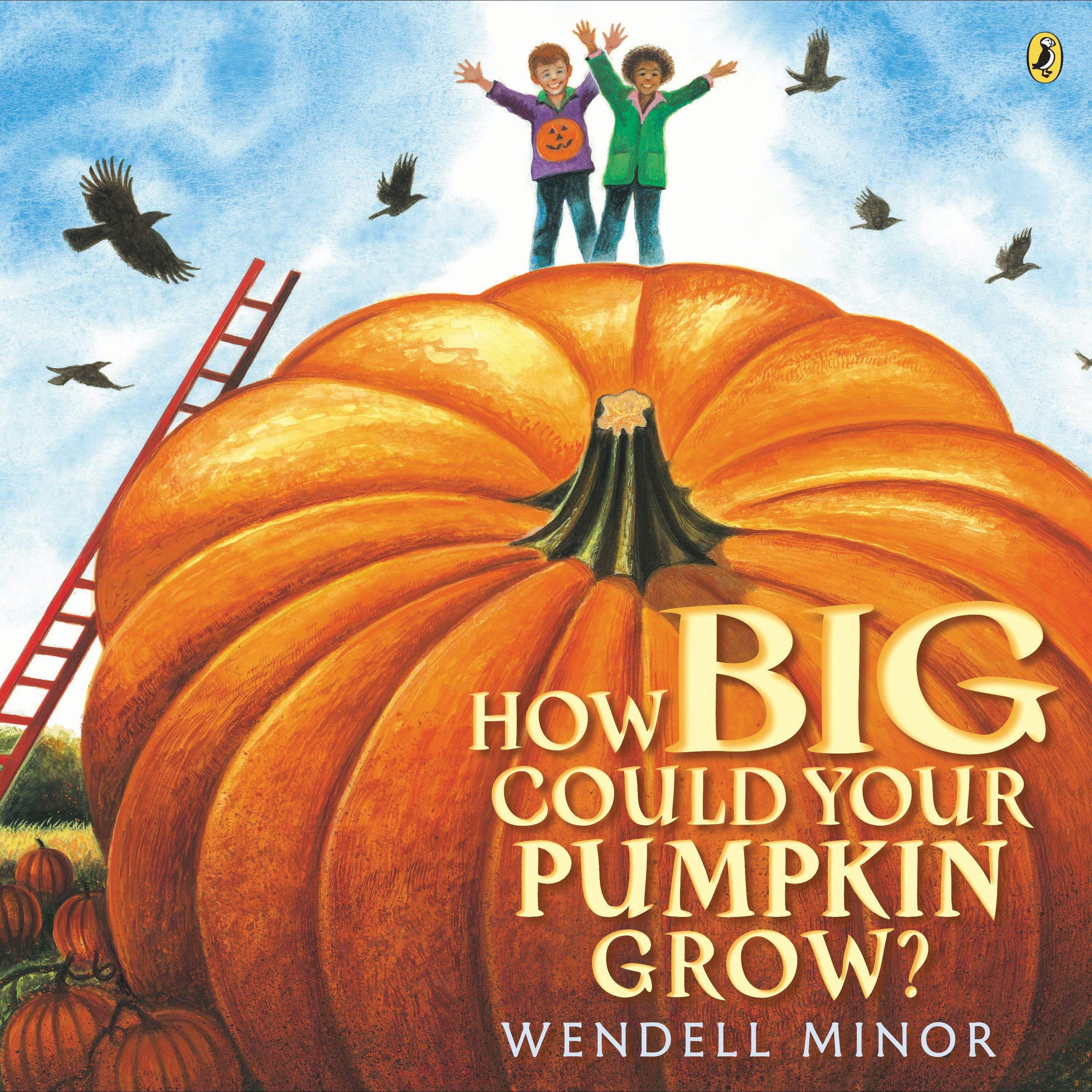 Vorderes Coverbild How Big Could Your Pumpkin Grow?