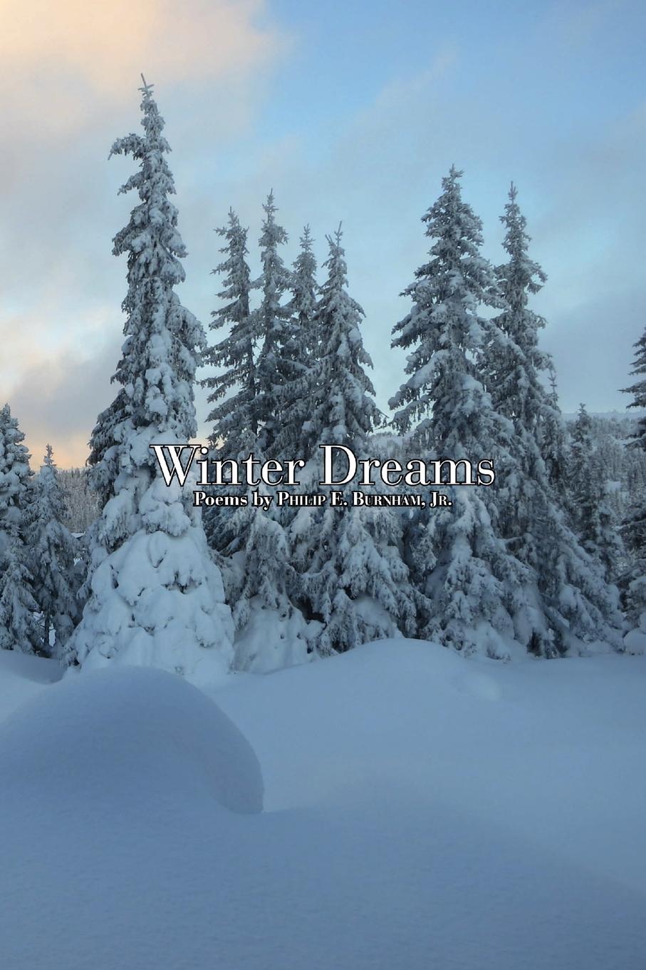 Vorderes Coverbild Winter Dreams