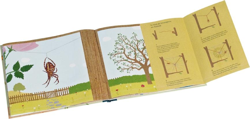 Beispielinhalt (Bild) Schau mal, eine Spinne!