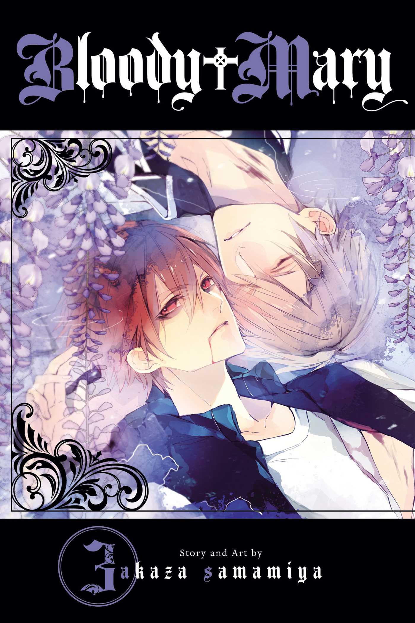 Vorderes Coverbild Bloody Mary, Vol. 3