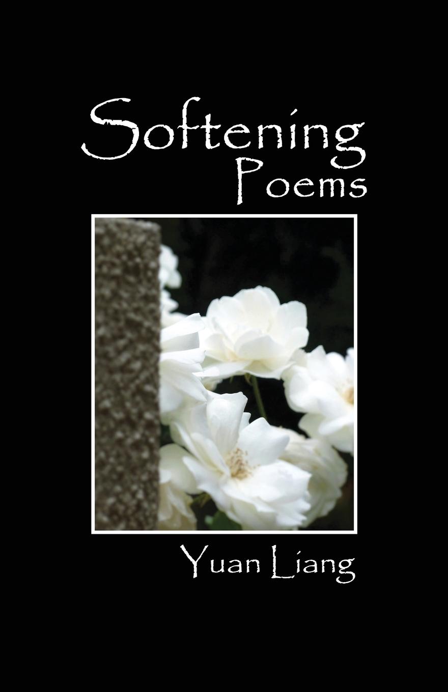 Vorderes Coverbild Softening