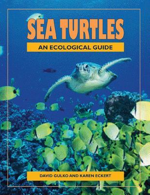 Vorderes Coverbild Sea Turtles: An Ecological Guide