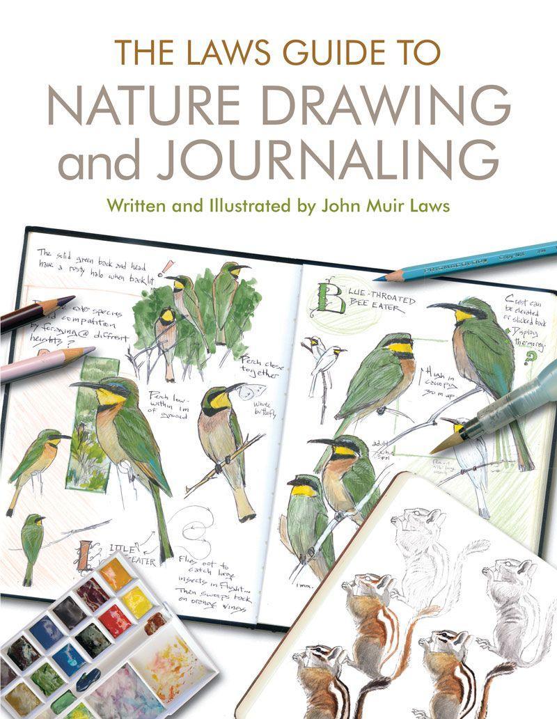 Vorderes Coverbild The Laws Guide to Nature Drawing and Journaling