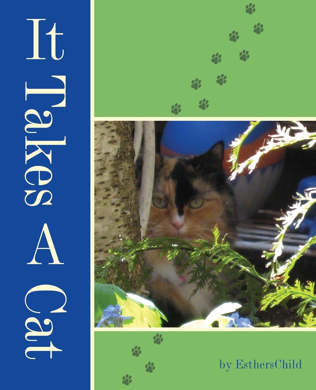 Vorderes Coverbild It Takes A Cat