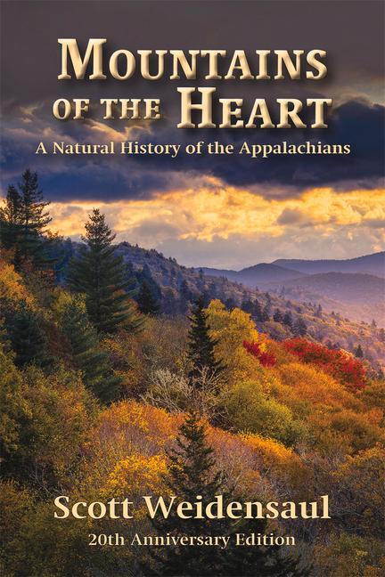 Vorderes Coverbild Mountains of the Heart
