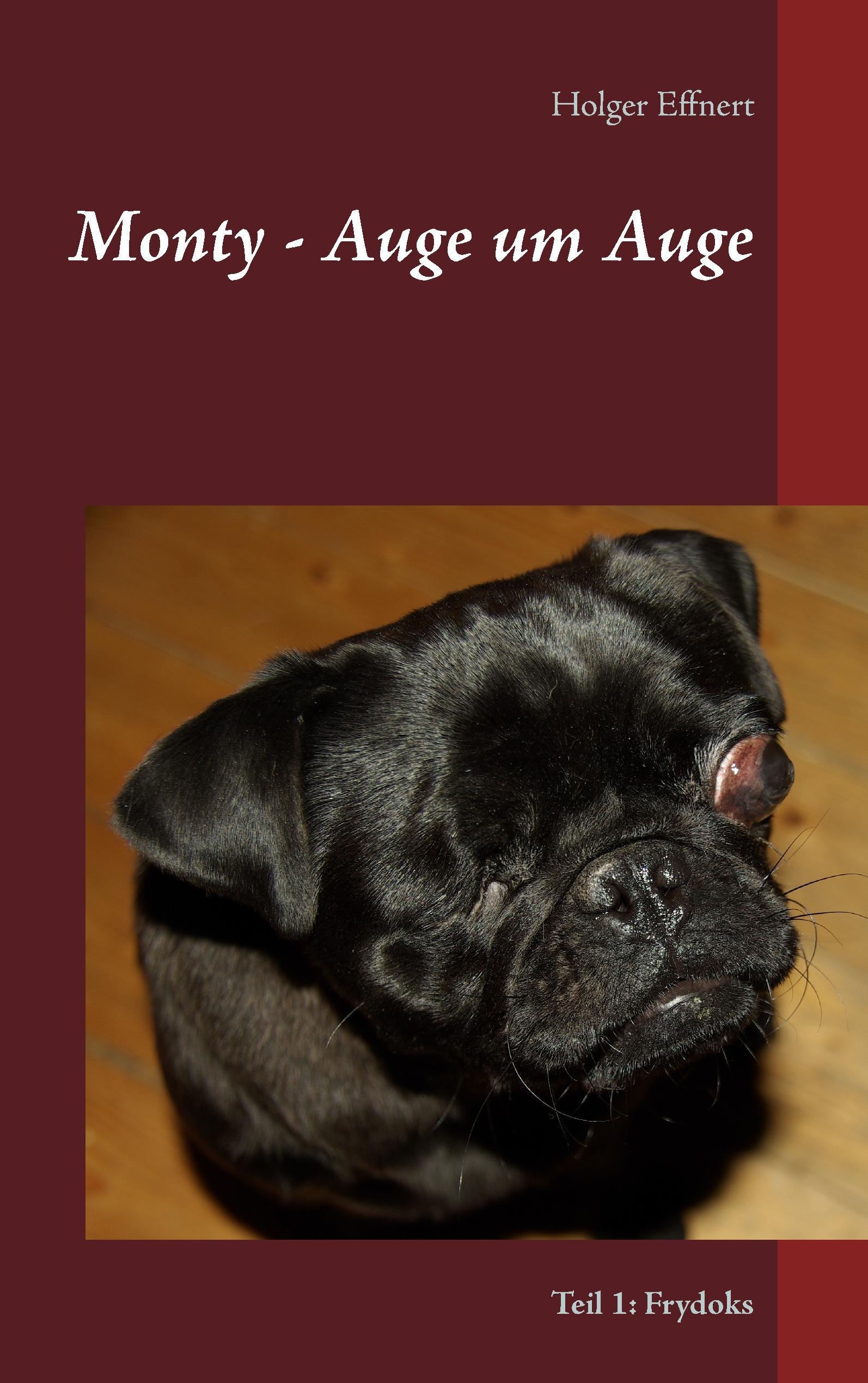Vorderes Coverbild Monty - Auge um Auge