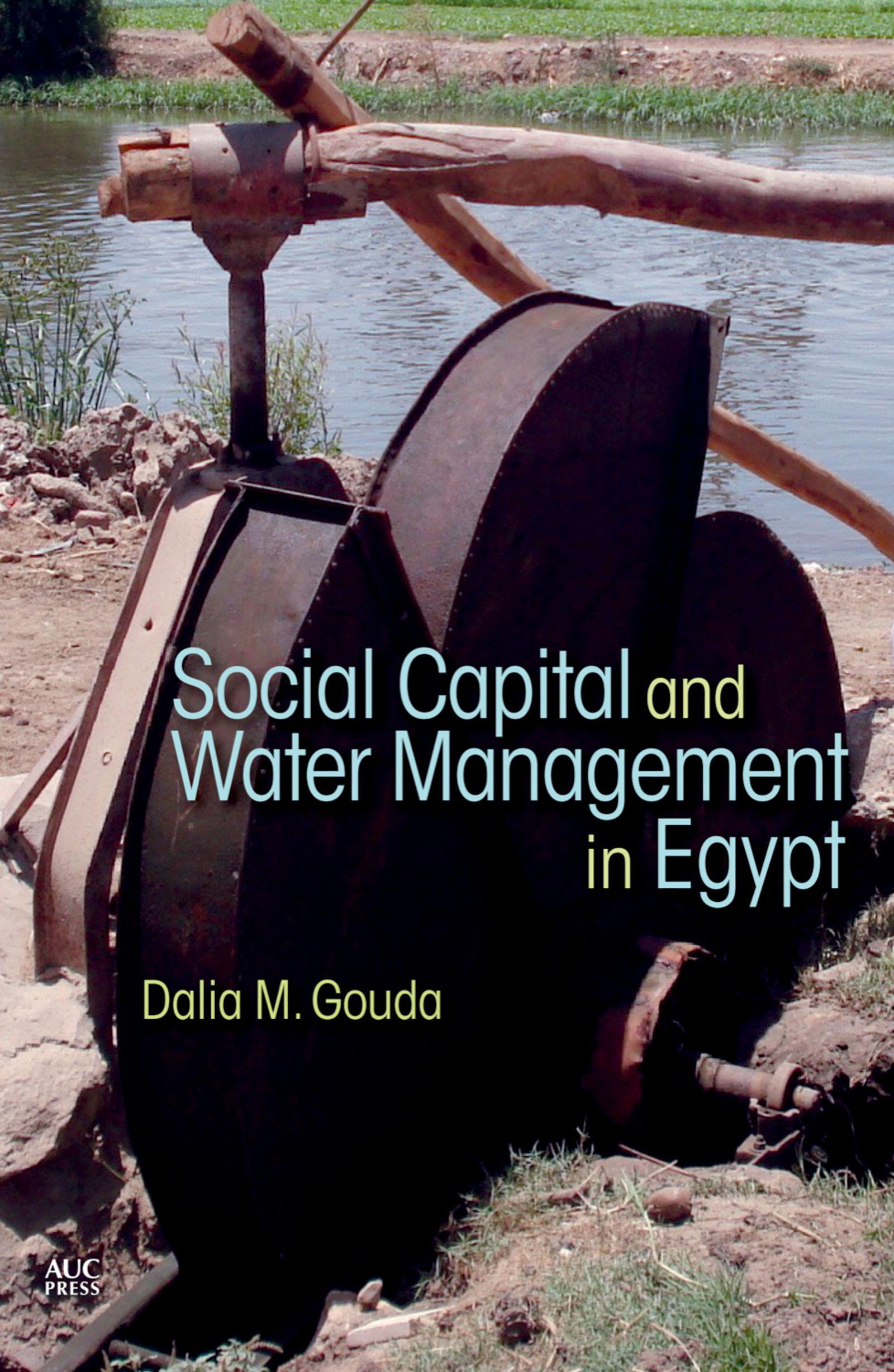 Vorderes Coverbild Social Capital and Local Water Management in Egypt