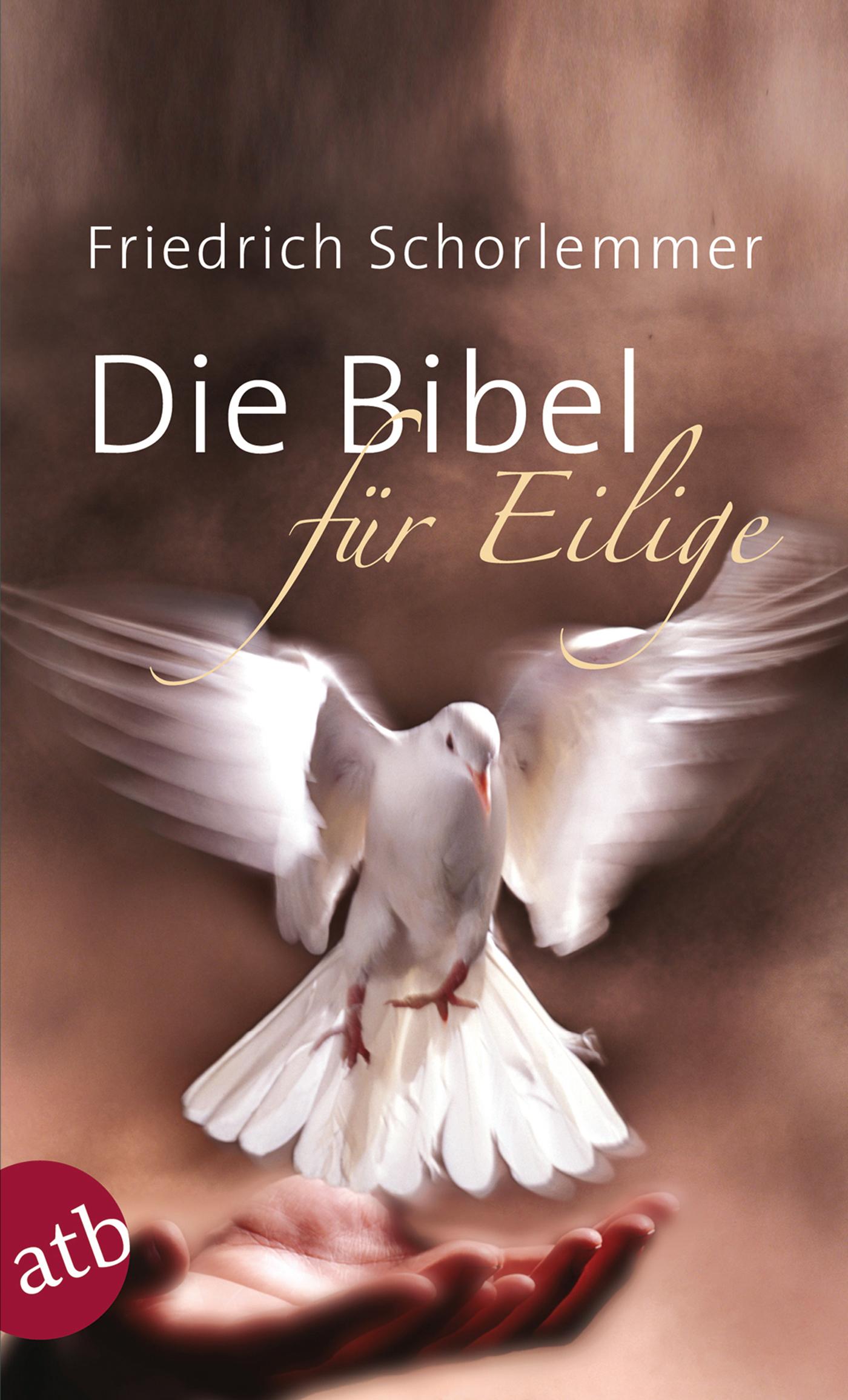 Vorderes Coverbild Die Bibel für Eilige