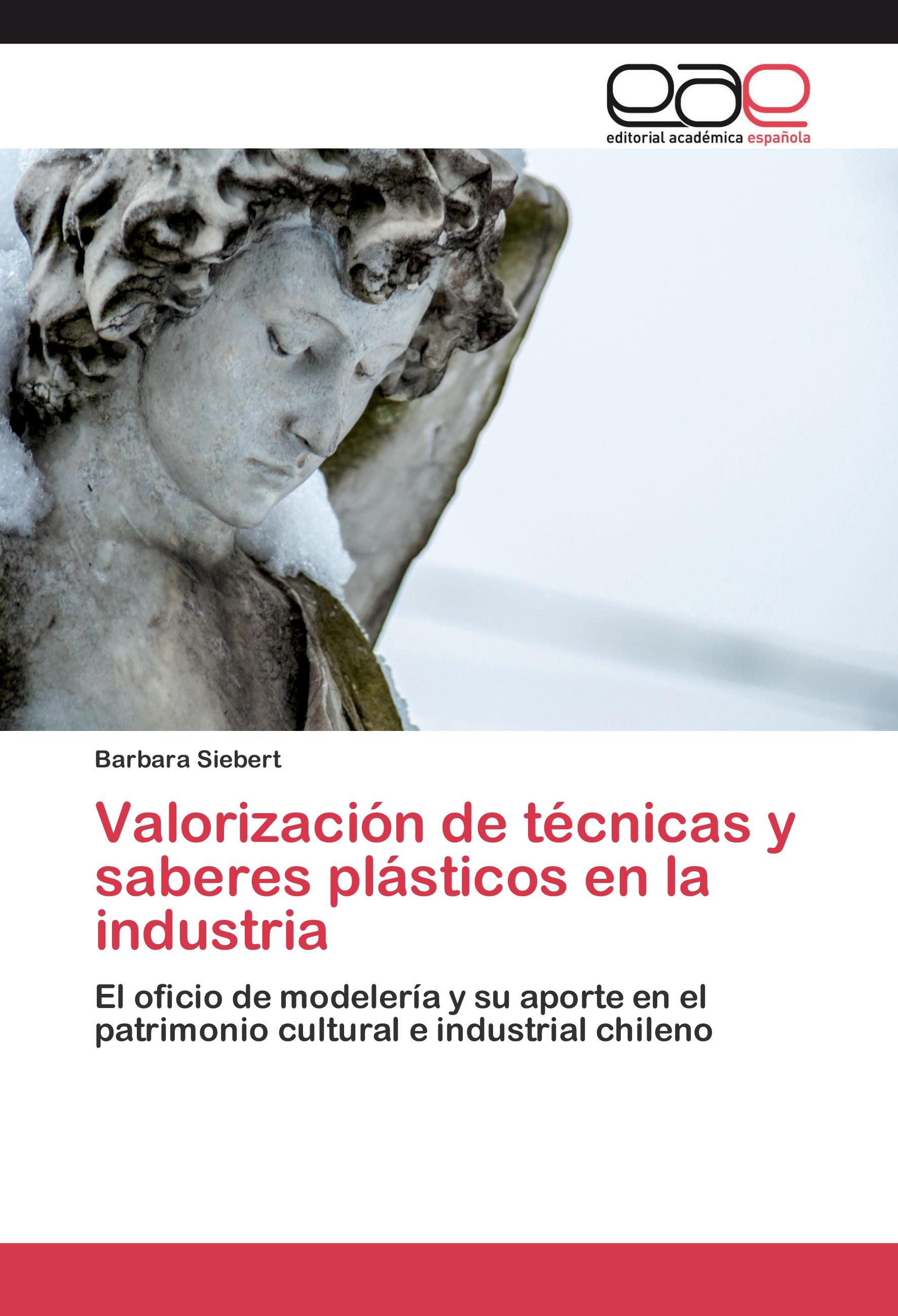 Vorderes Coverbild Valorización de técnicas y saberes plásticos en la industria