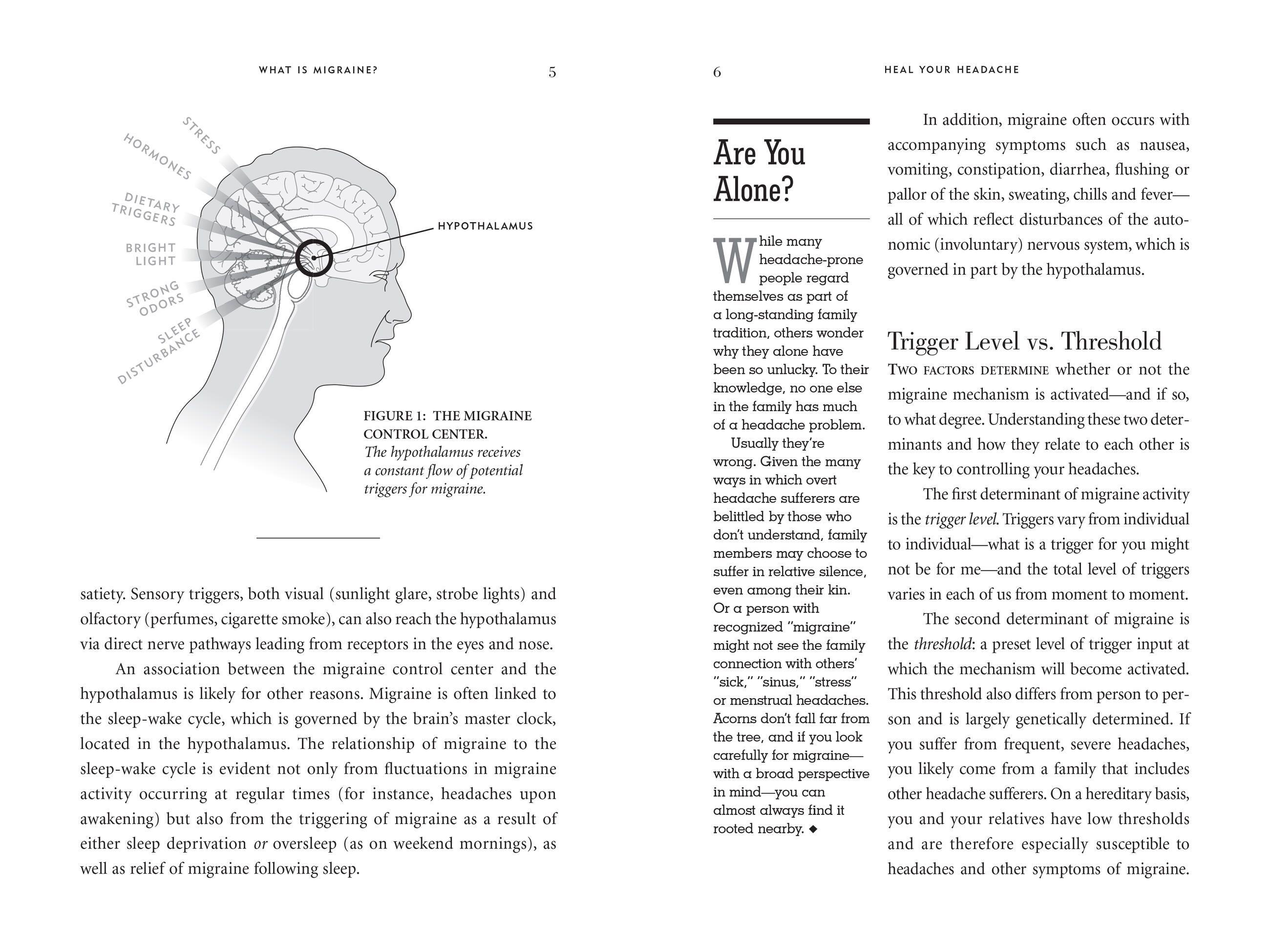 Beispielinhalt (Bild) Heal Your Headache